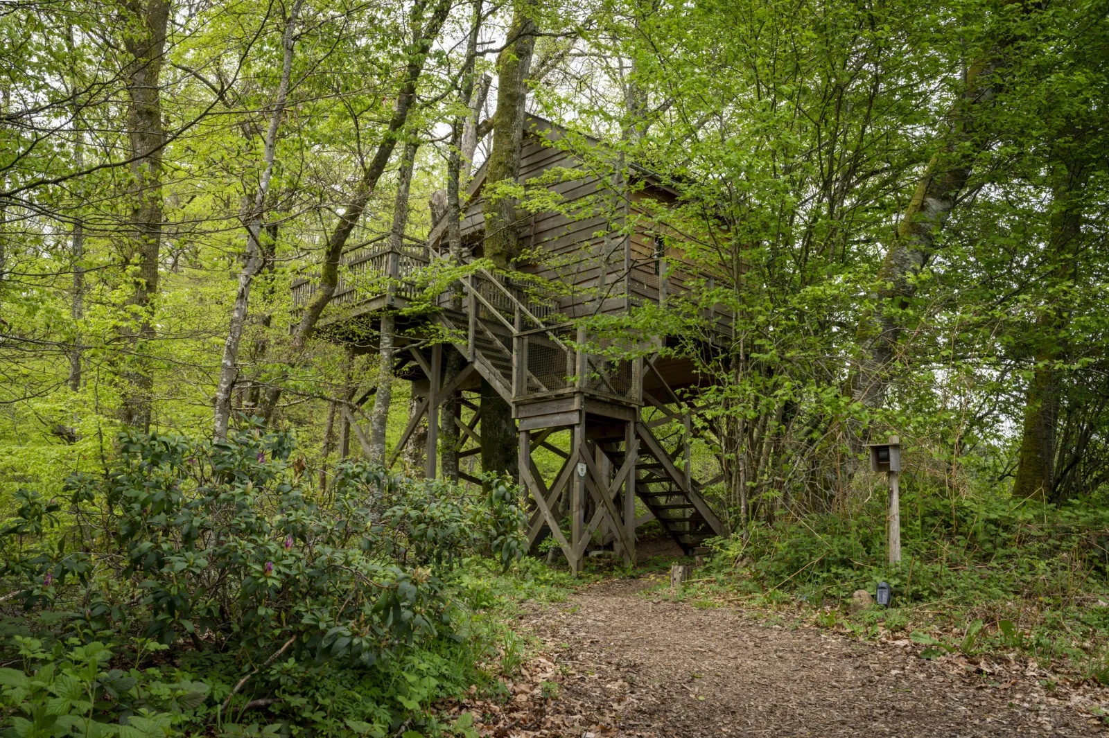 Cabane La Pat' de l'Ours, cabane dans les arbres à Raon-aux-Bois