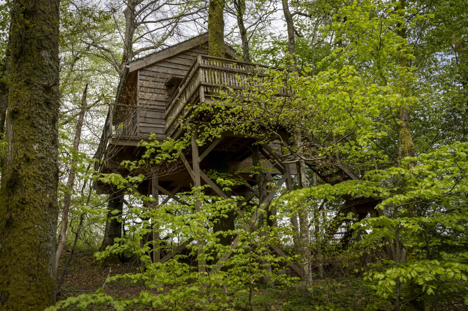Cabane La Pat' de l'Ours à Raon-aux-Bois, photo 2