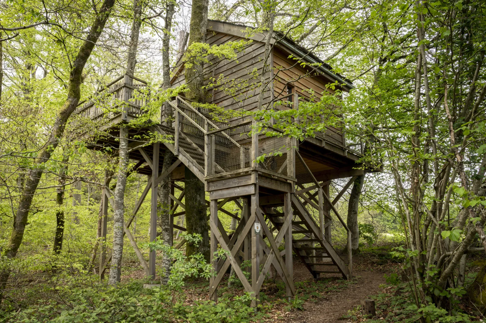 Cabane La Pat' de l'Ours à Raon-aux-Bois, photo 3