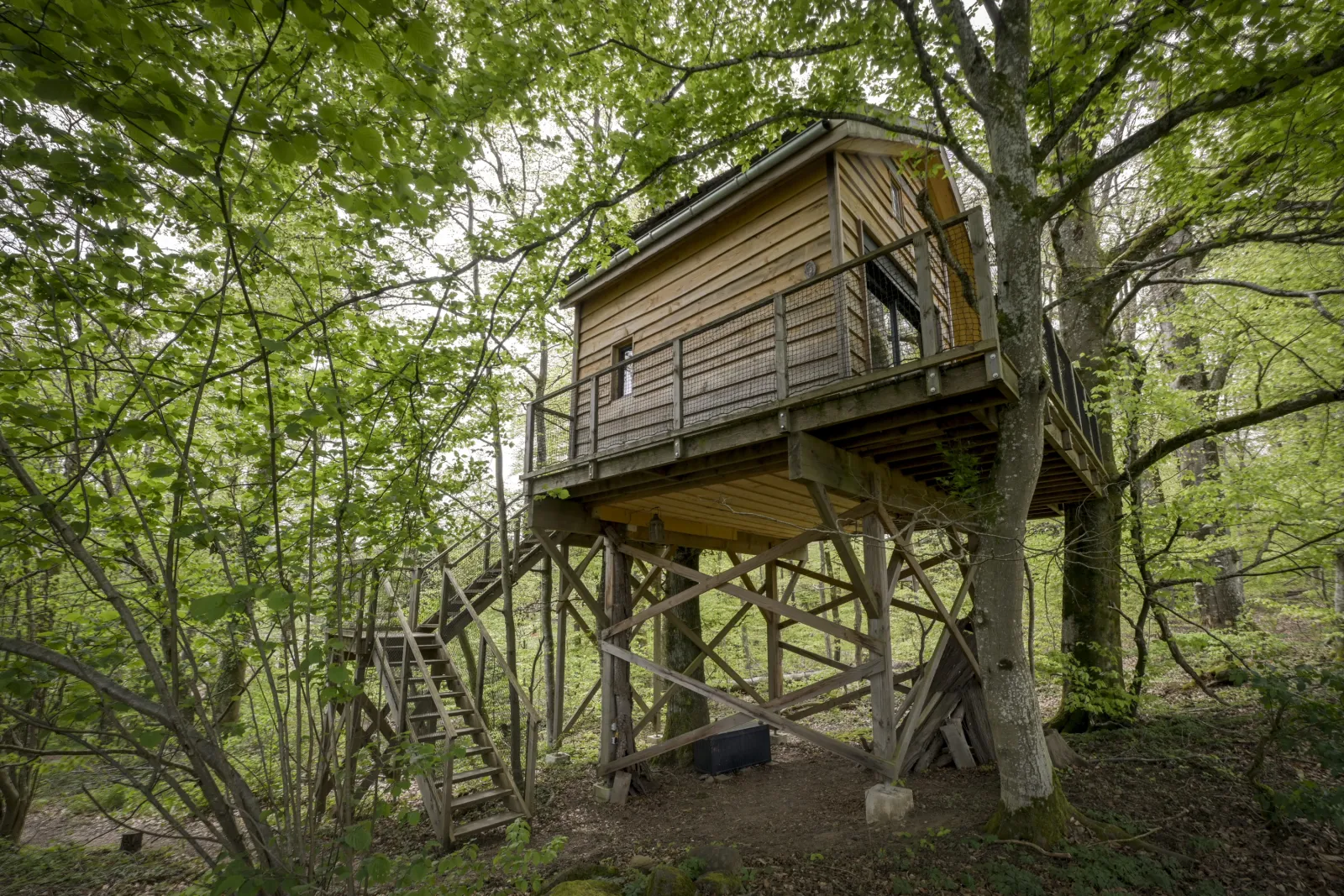 Cabane La Pat' de l'Ours à Raon-aux-Bois, photo 4