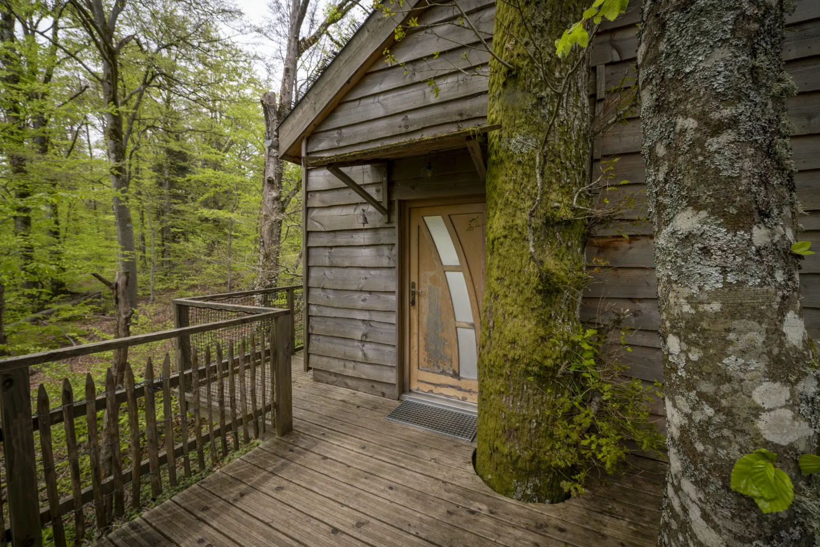 Cabane La Pat' de l'Ours à Raon-aux-Bois, photo 5