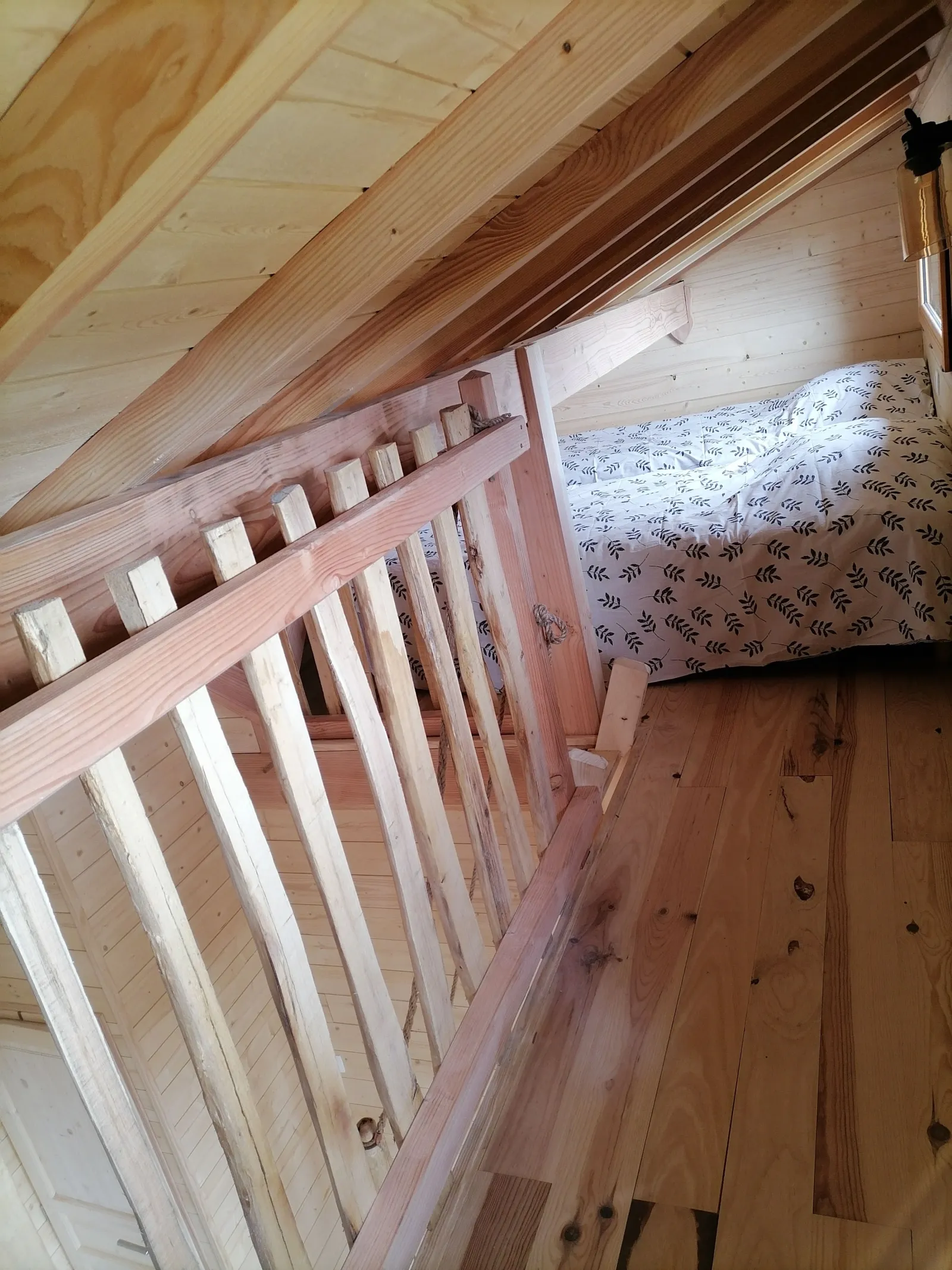 Cabane La Rastène à Carlat, photo 5
