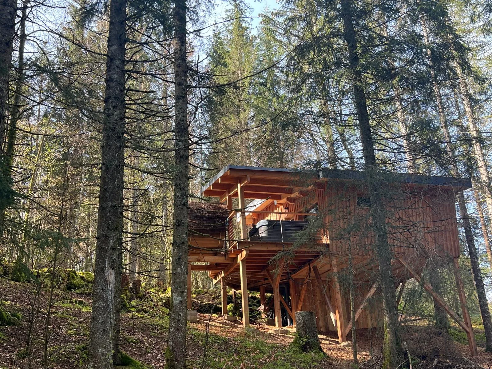 Cabane La Seignette, cabane sur pilotis à Petite-Chaux