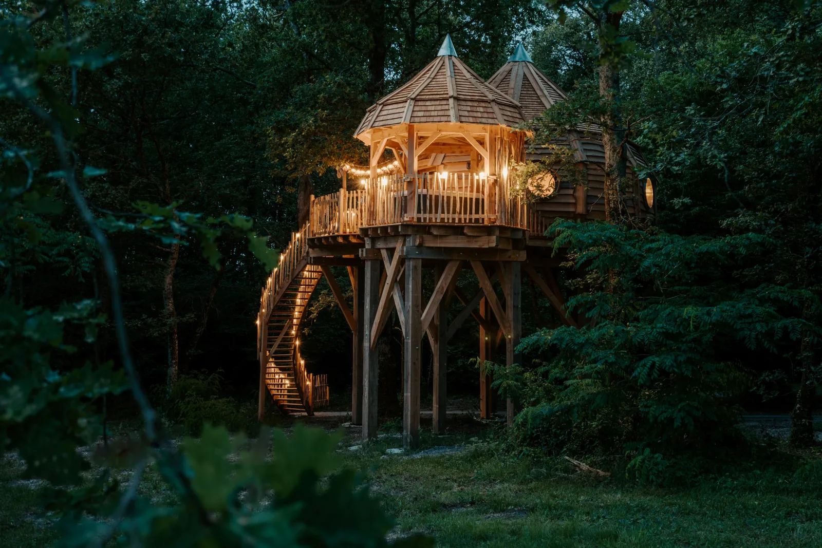 Cabane la Vigne, cabane dans les arbres à Martillac