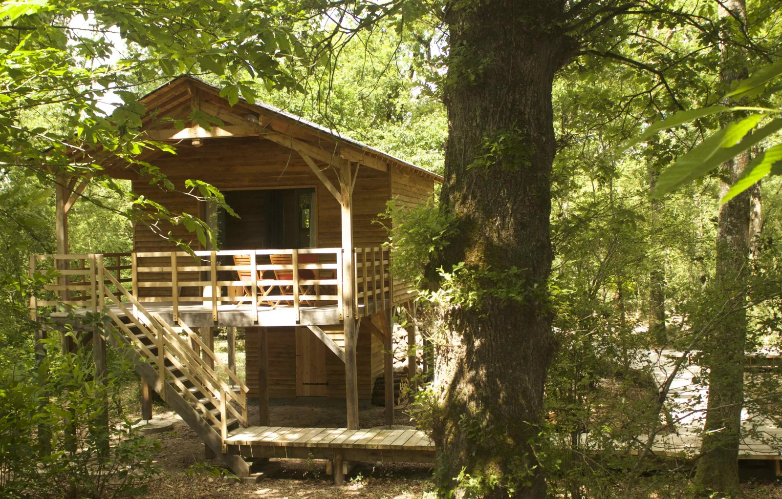 Cabane La Viticole à Gennes-Val-de-Loire, photo 3