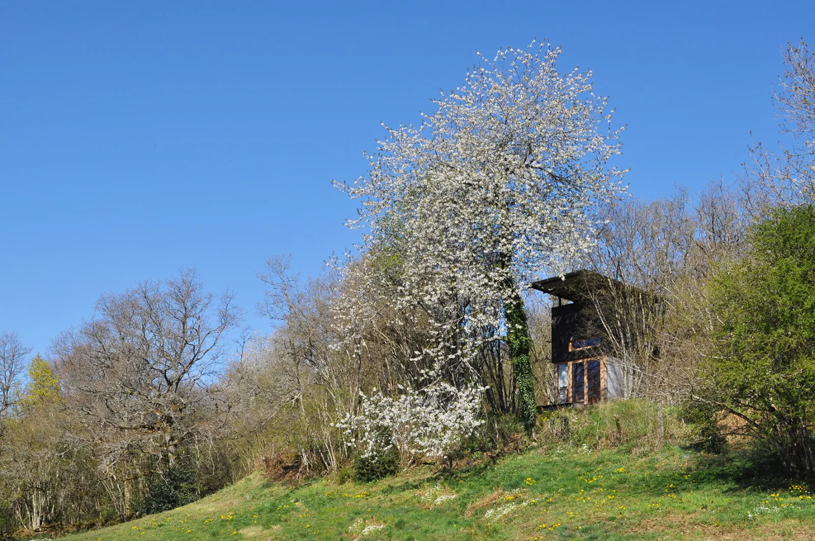 Cabane Latite, cabane au sol à Manzat