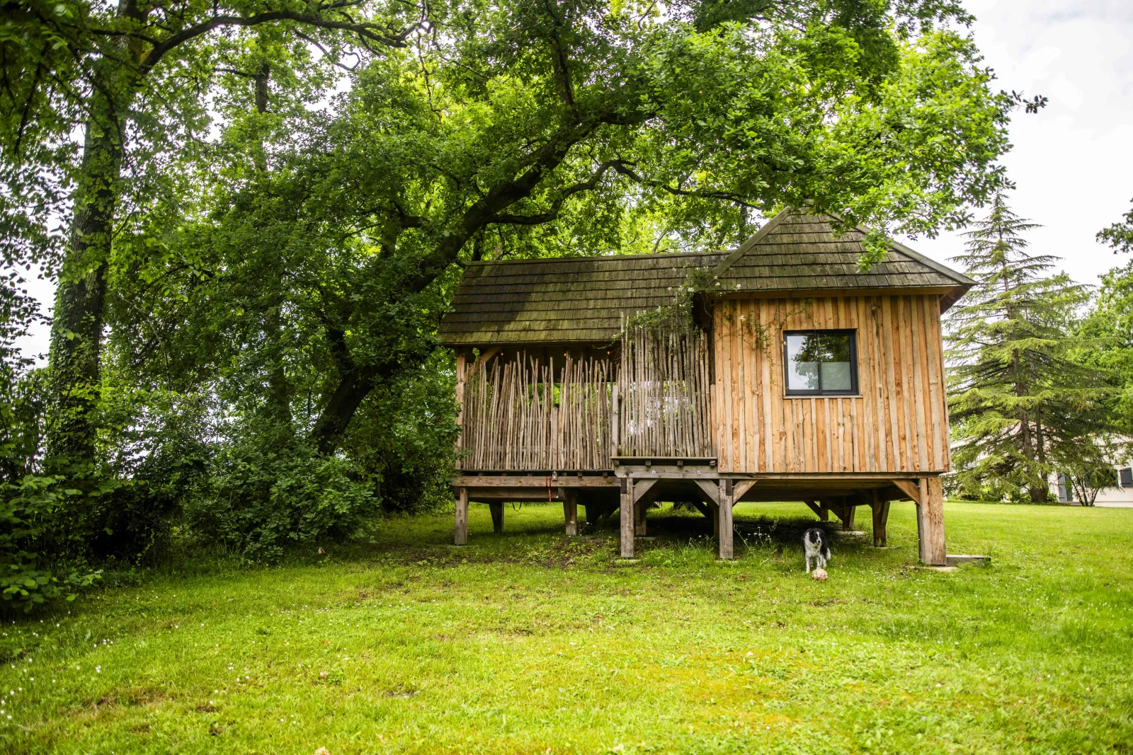 Cabane le Carrelet, cabane dans les arbres à Martillac
