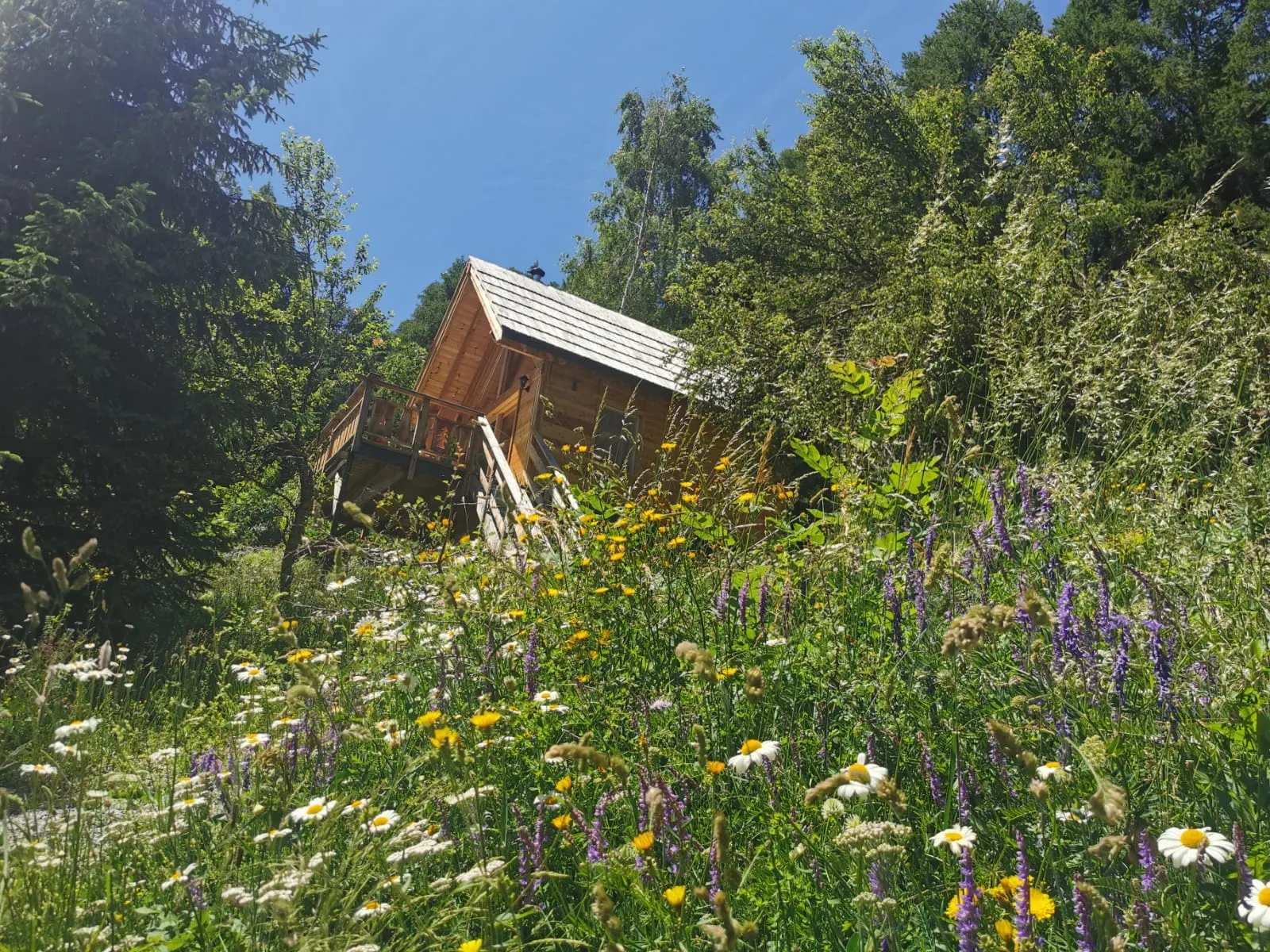 Cabane Le Jas du Chamois, cabane sur pilotis à Le Lauzet-Ubaye