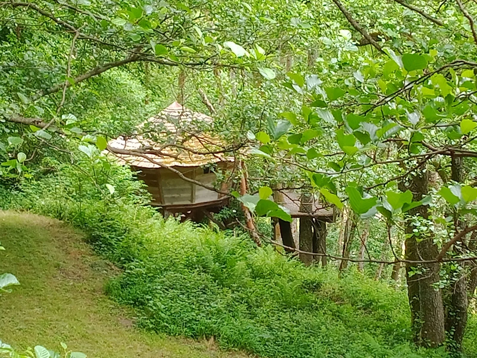 Cabane le Petit Toit du Monde à Grandfontaine, photo 2