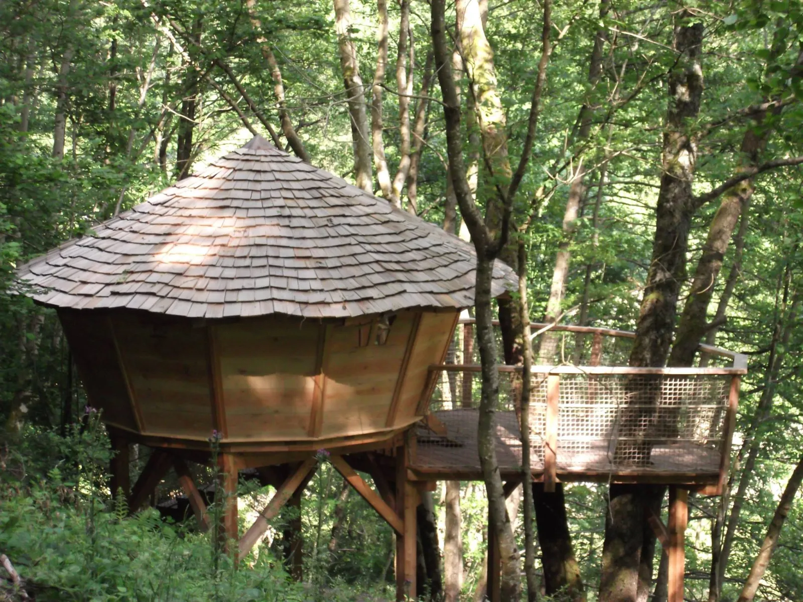Cabane le Petit Toit du Monde à Grandfontaine, photo 4