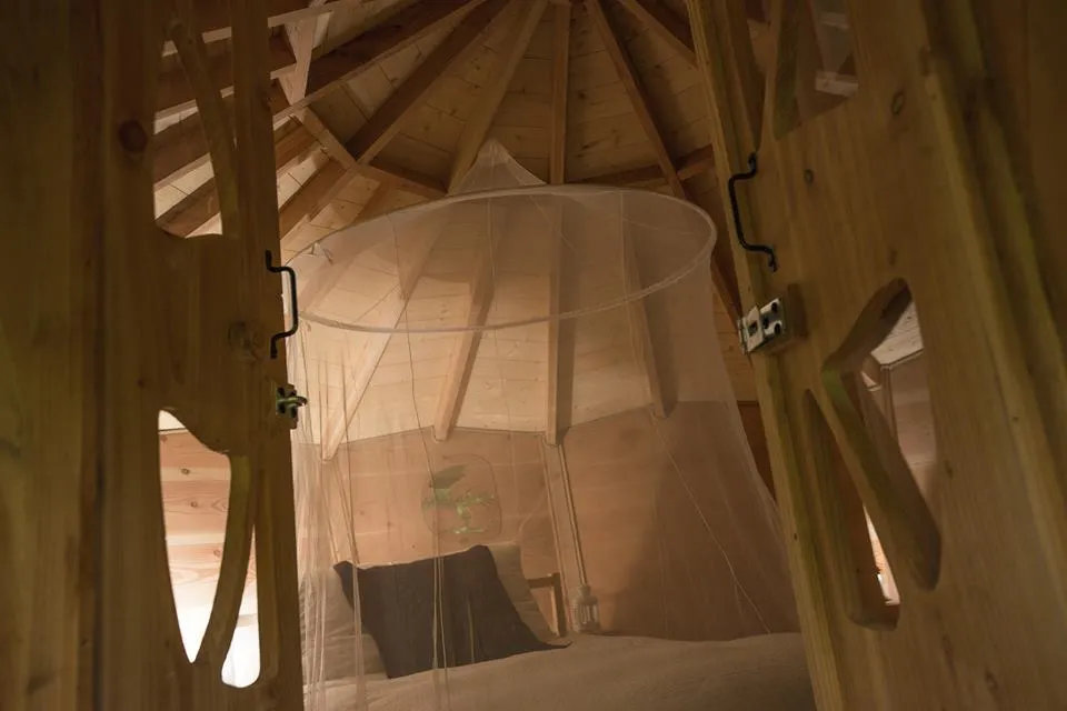 Cabane le Petit Toit du Monde à Grandfontaine, photo 5