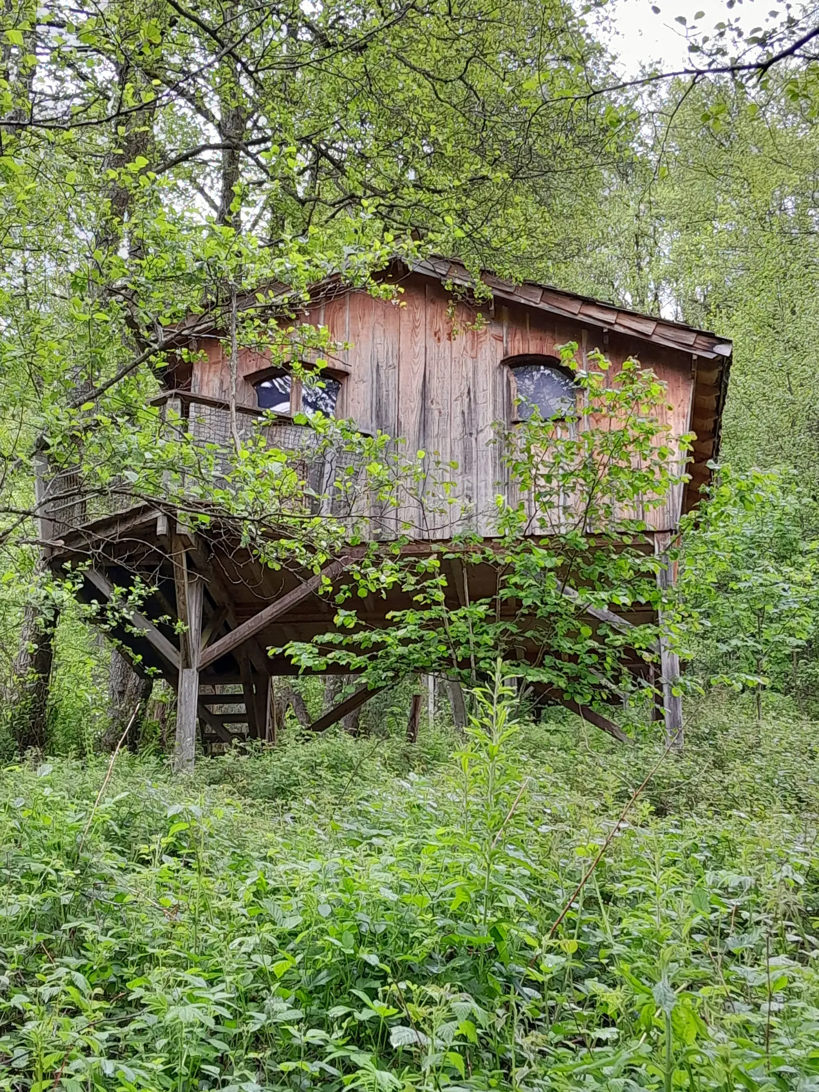Cabane le Refuge du Trappeur, cabane sur pilotis à Grandfontaine