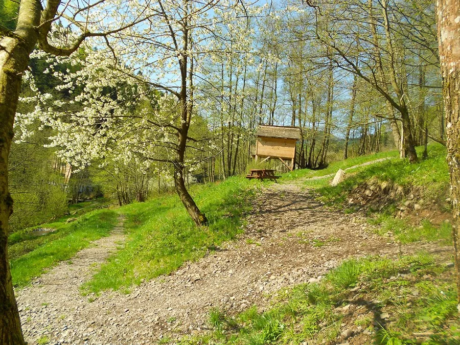 Cabane le Refuge du Trappeur à Grandfontaine, photo 3