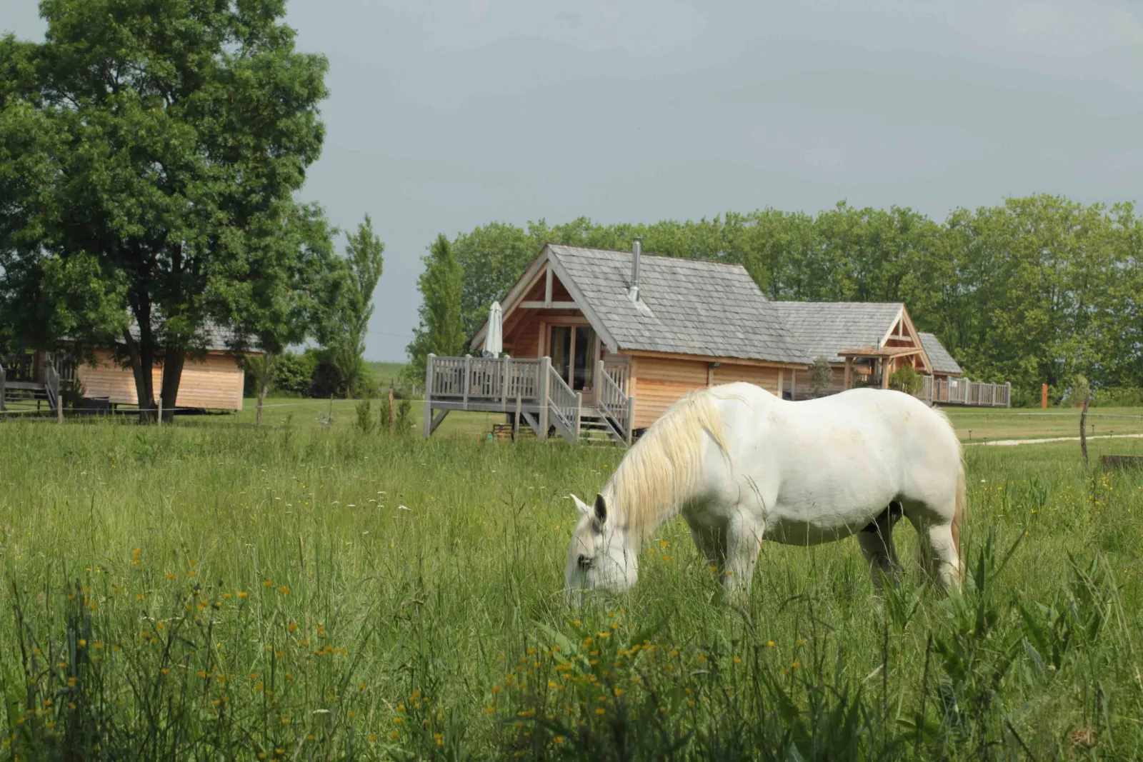 Cabane Léonie à Berson, photo 4