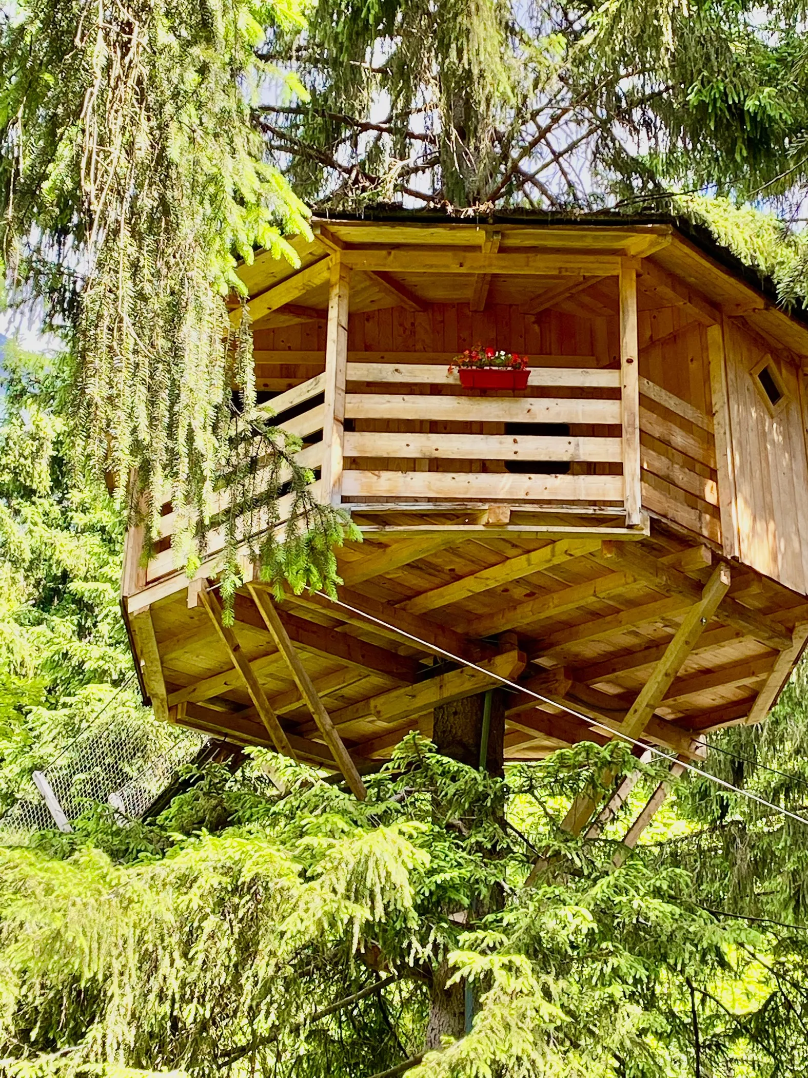 Cabane Les Cristaux, cabane dans les arbres à Passy