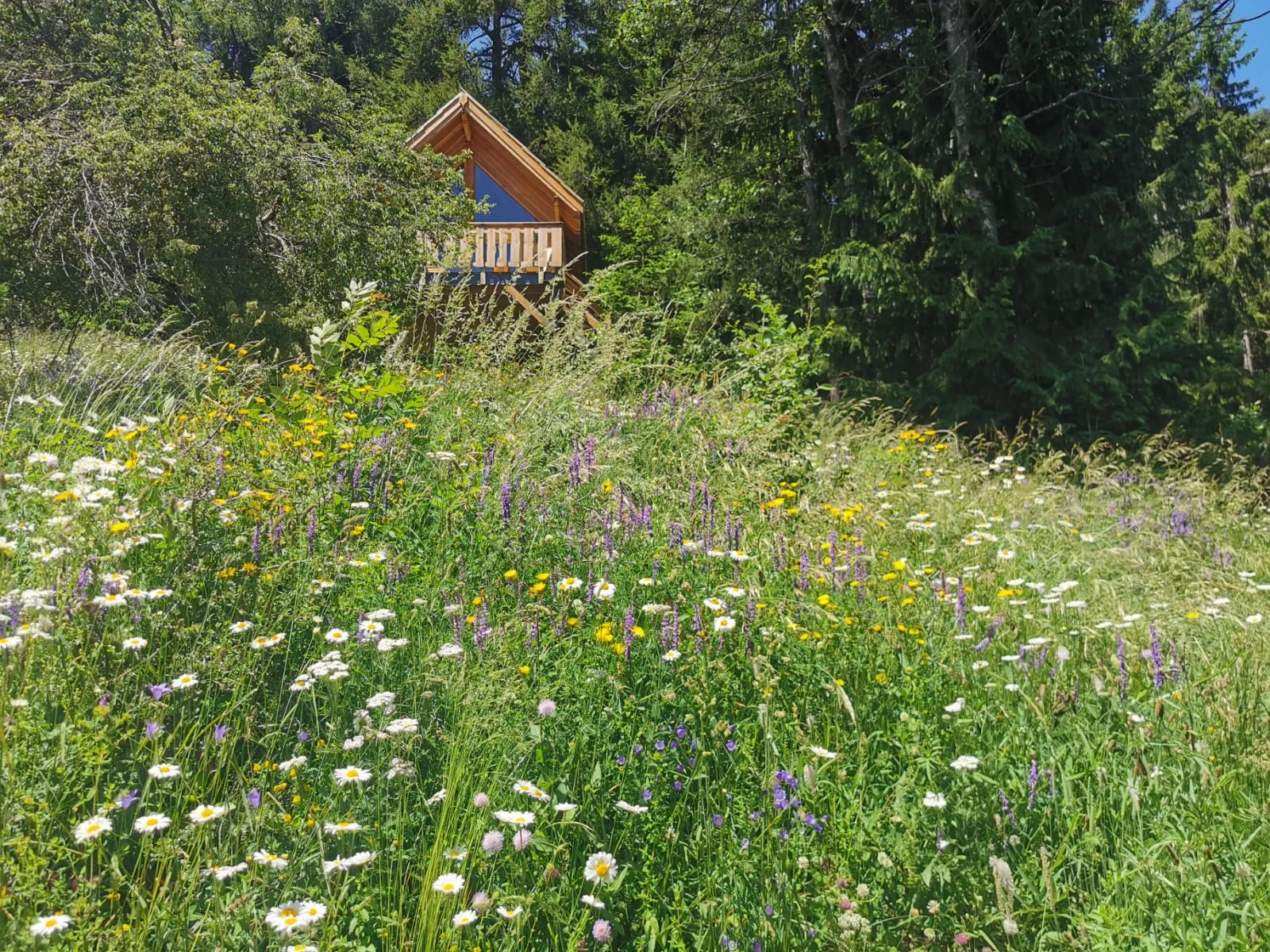 Cabane Les Terres Blanches, cabane sur pilotis à Le Lauzet-Ubaye