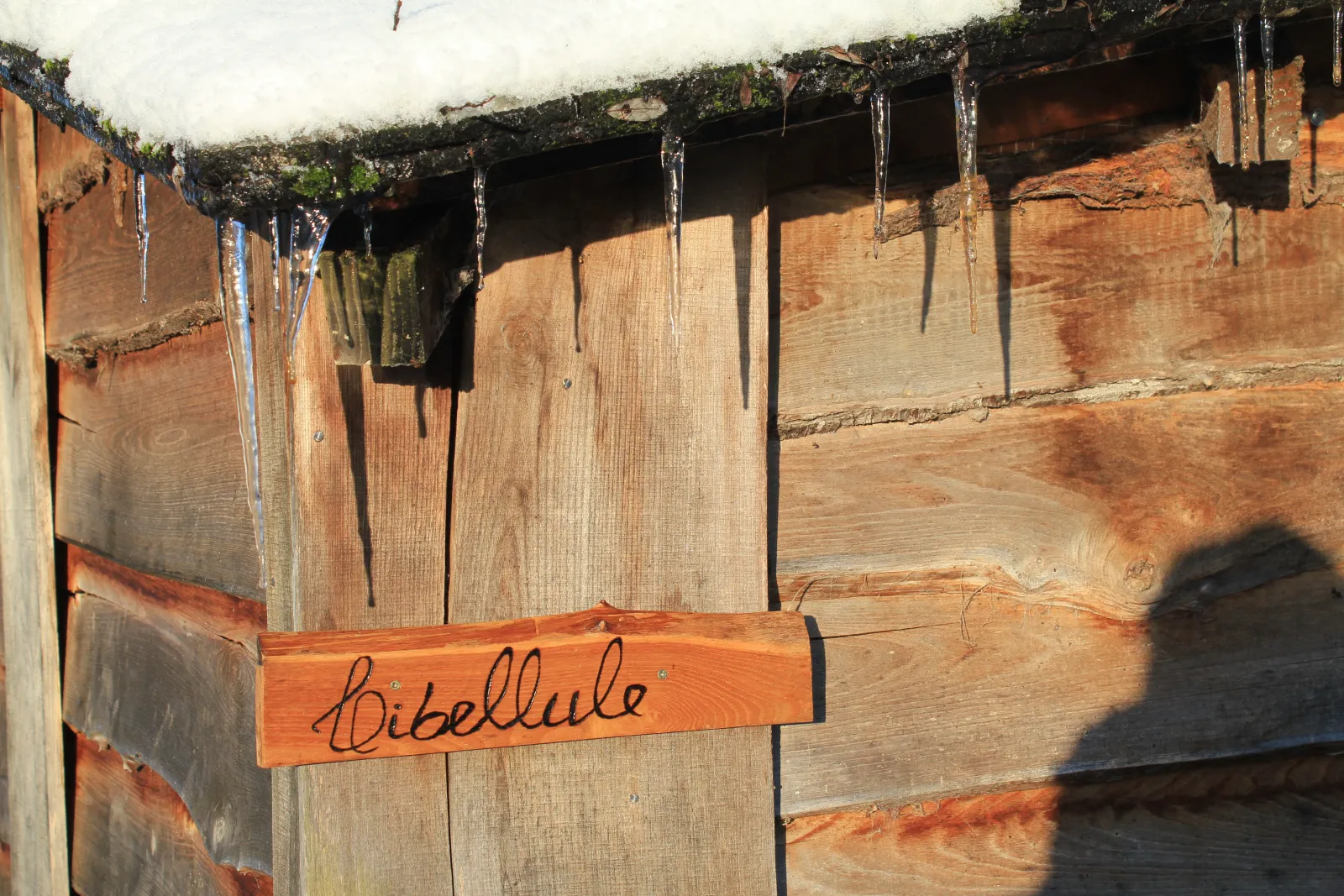 Cabane Libellule à Batilly-en-Puisaye, photo 3