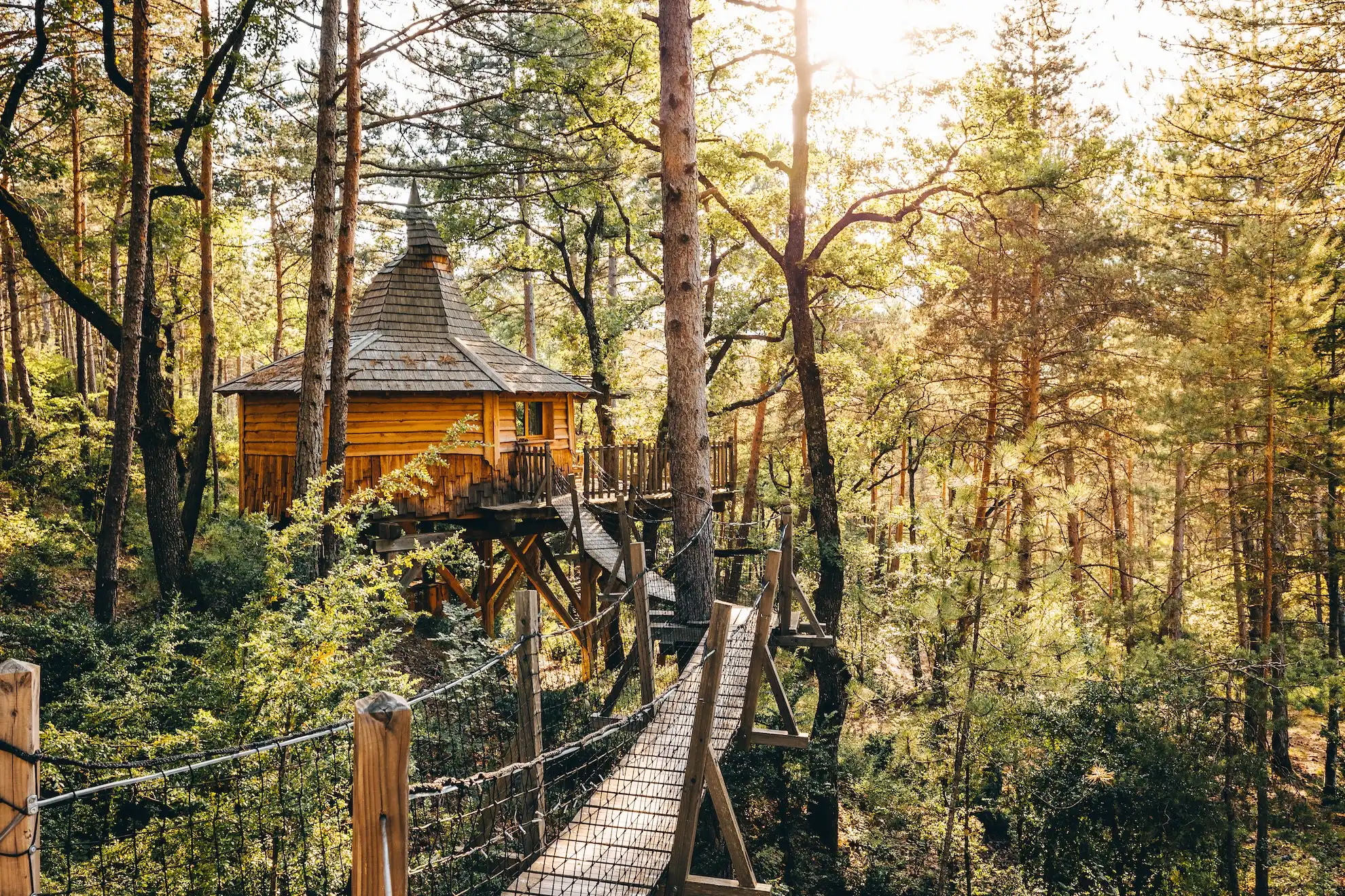 Cabane Lichen, cabane dans les arbres à Serres