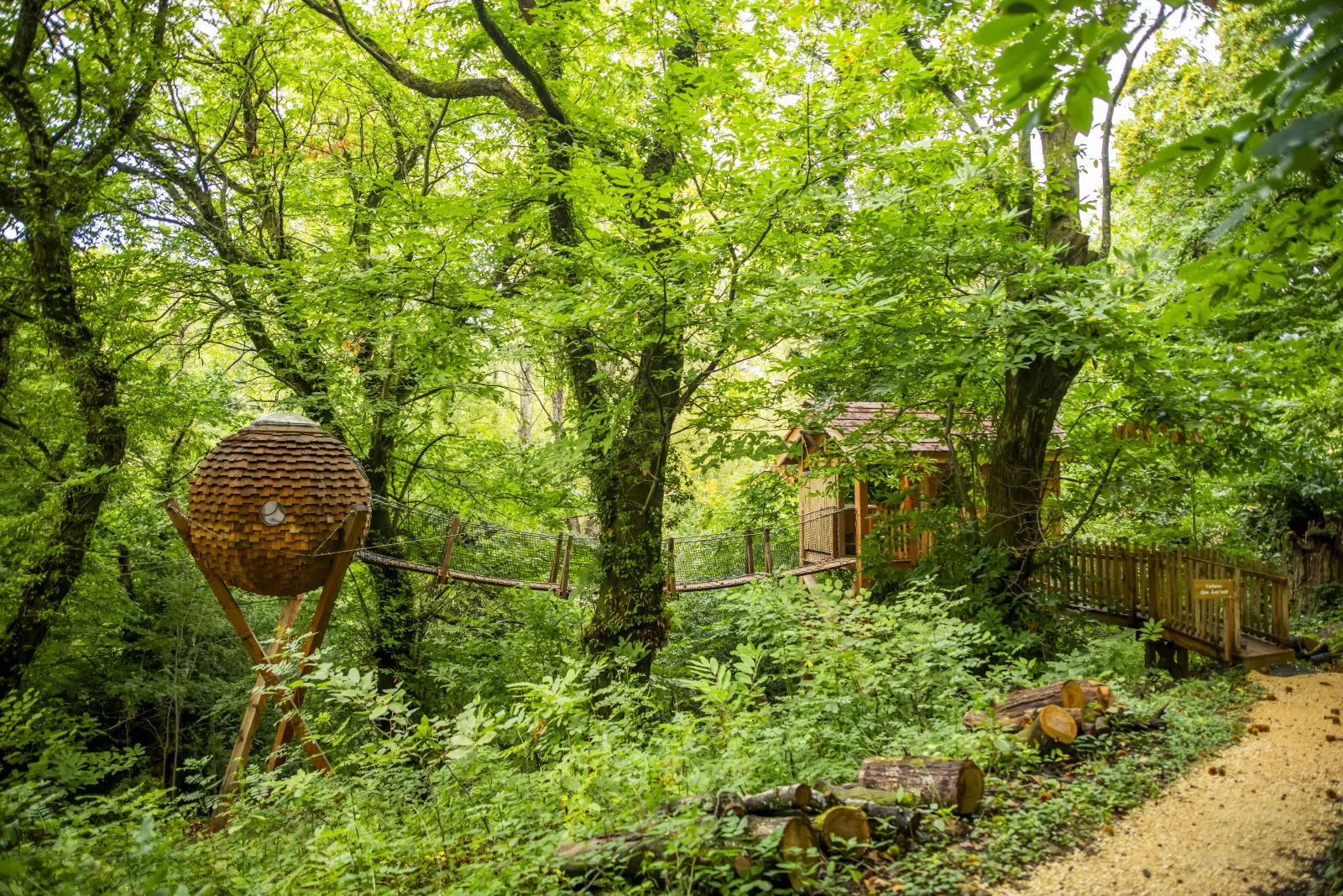 Cabane Lov'nid, cabane dans les arbres à Gillonnay