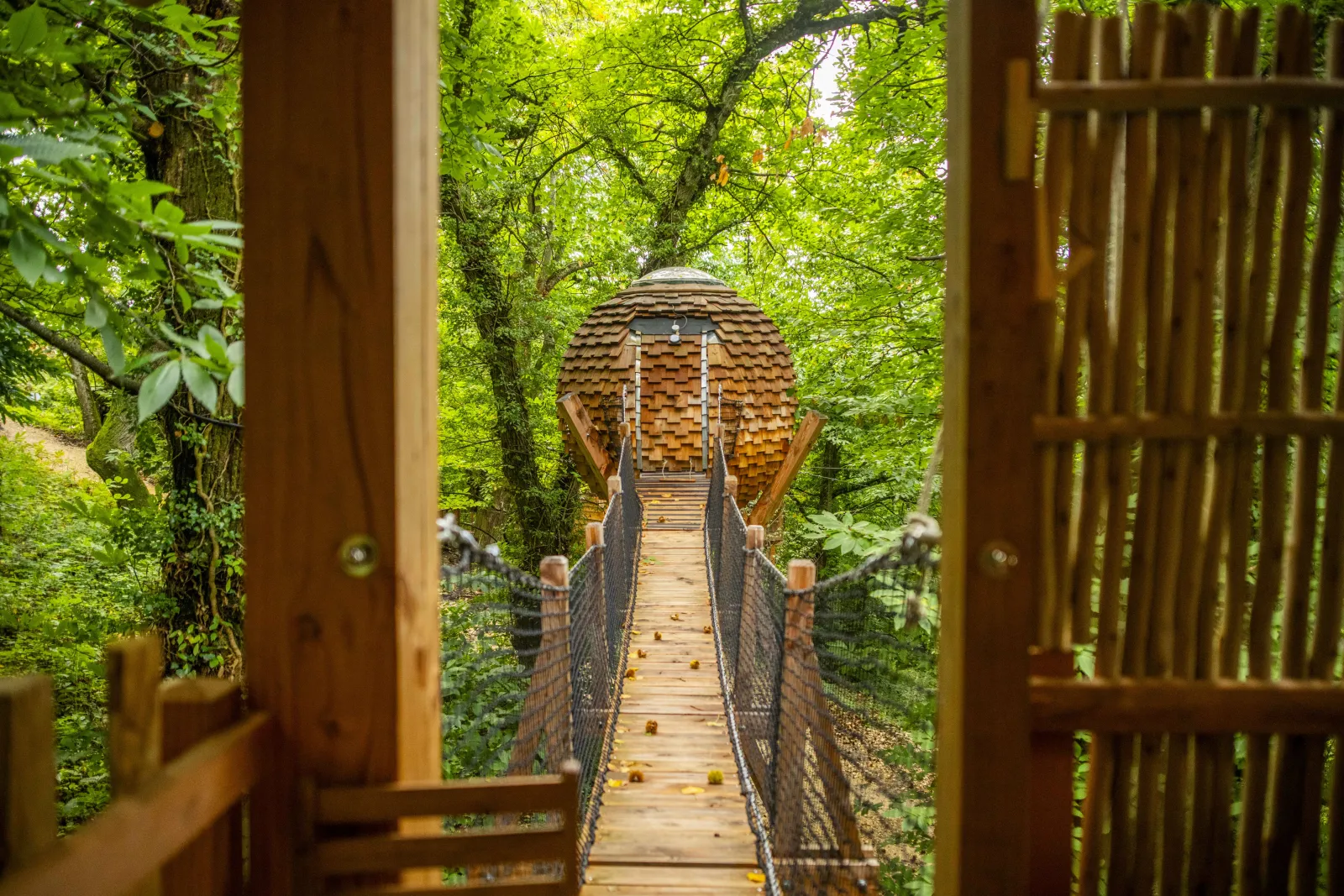 Cabane Lov'nid à Gillonnay, photo 2