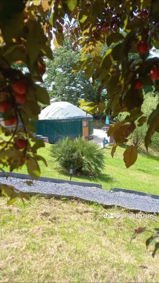 Cabane Mamà à Labouheyre, photo 2