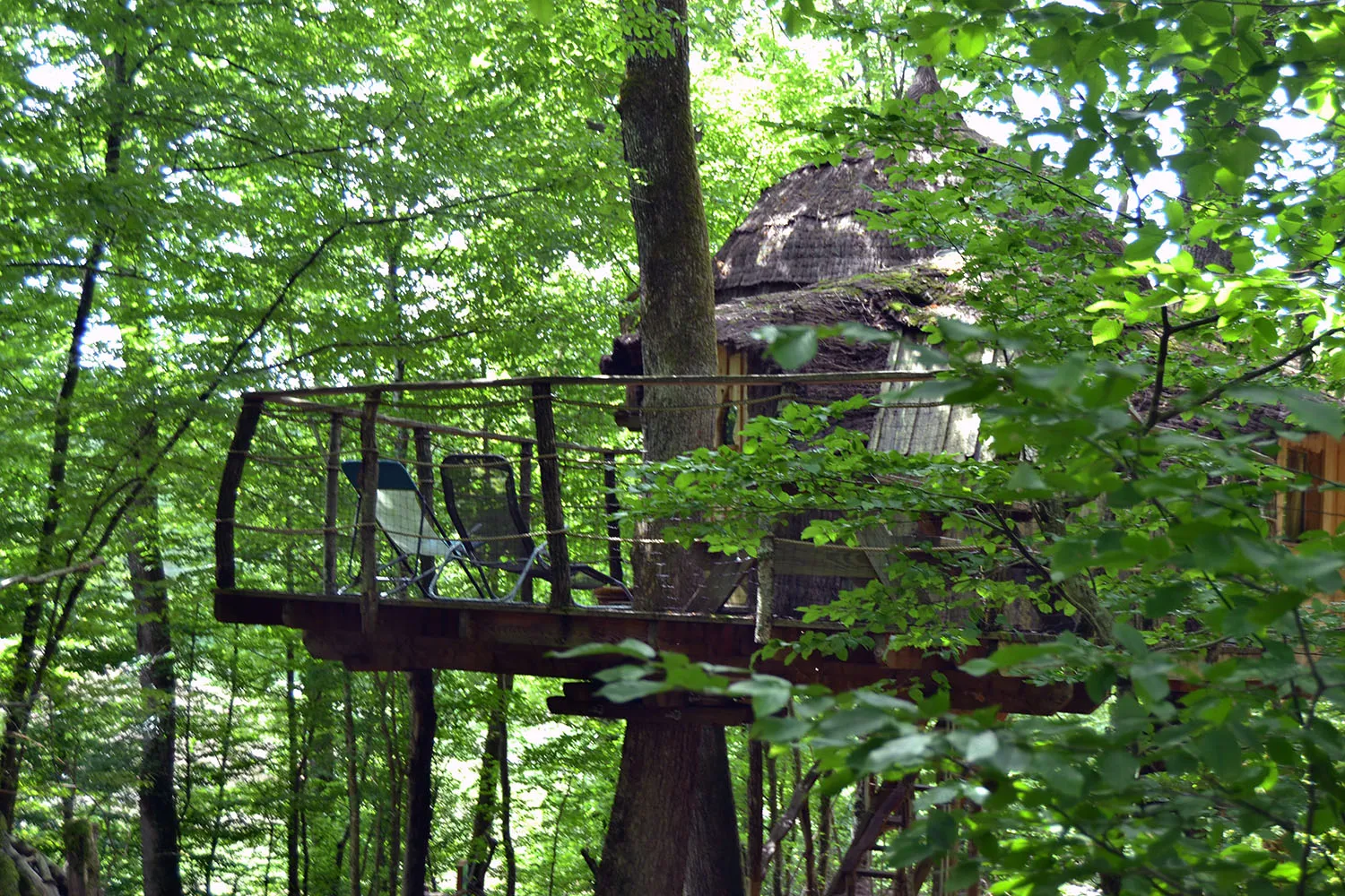 Cabane Mandubienne, cabane dans les arbres à Ranchot