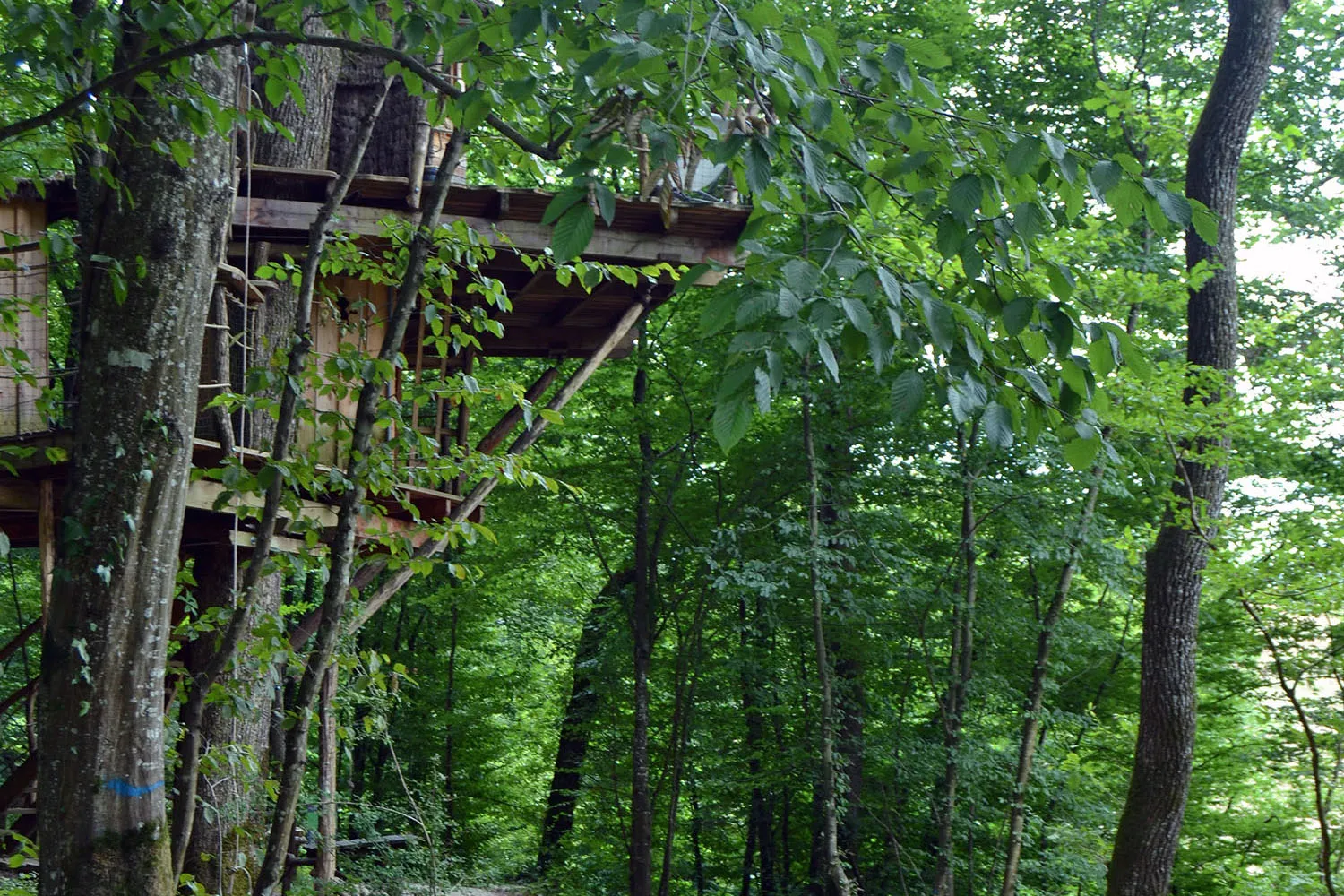 Cabane Mandubienne à Ranchot, photo 3