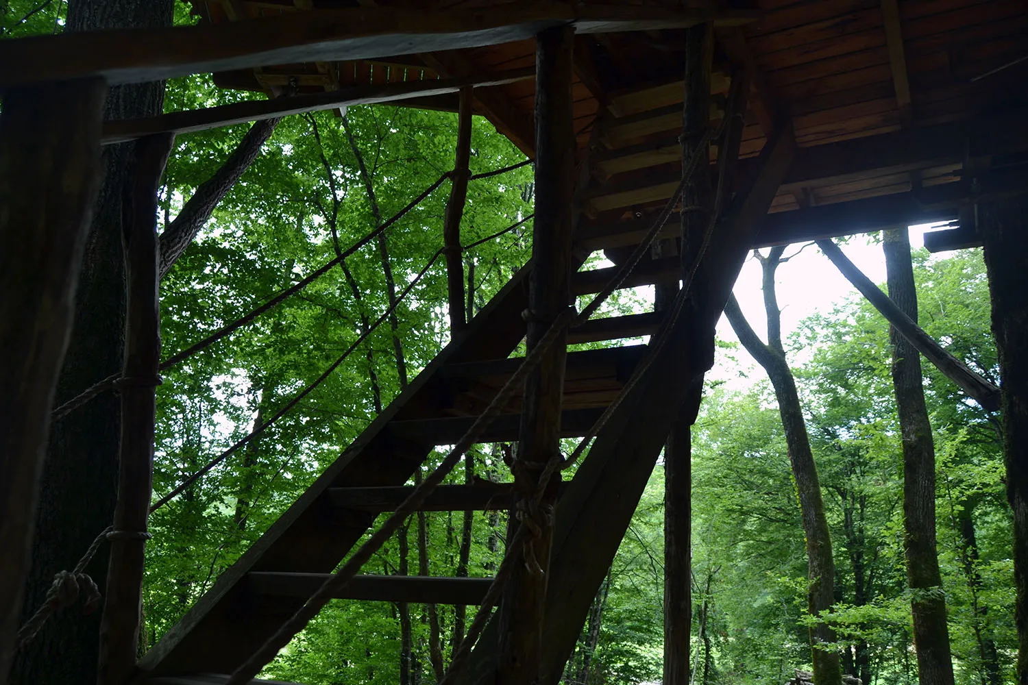 Cabane Mandubienne à Ranchot, photo 4