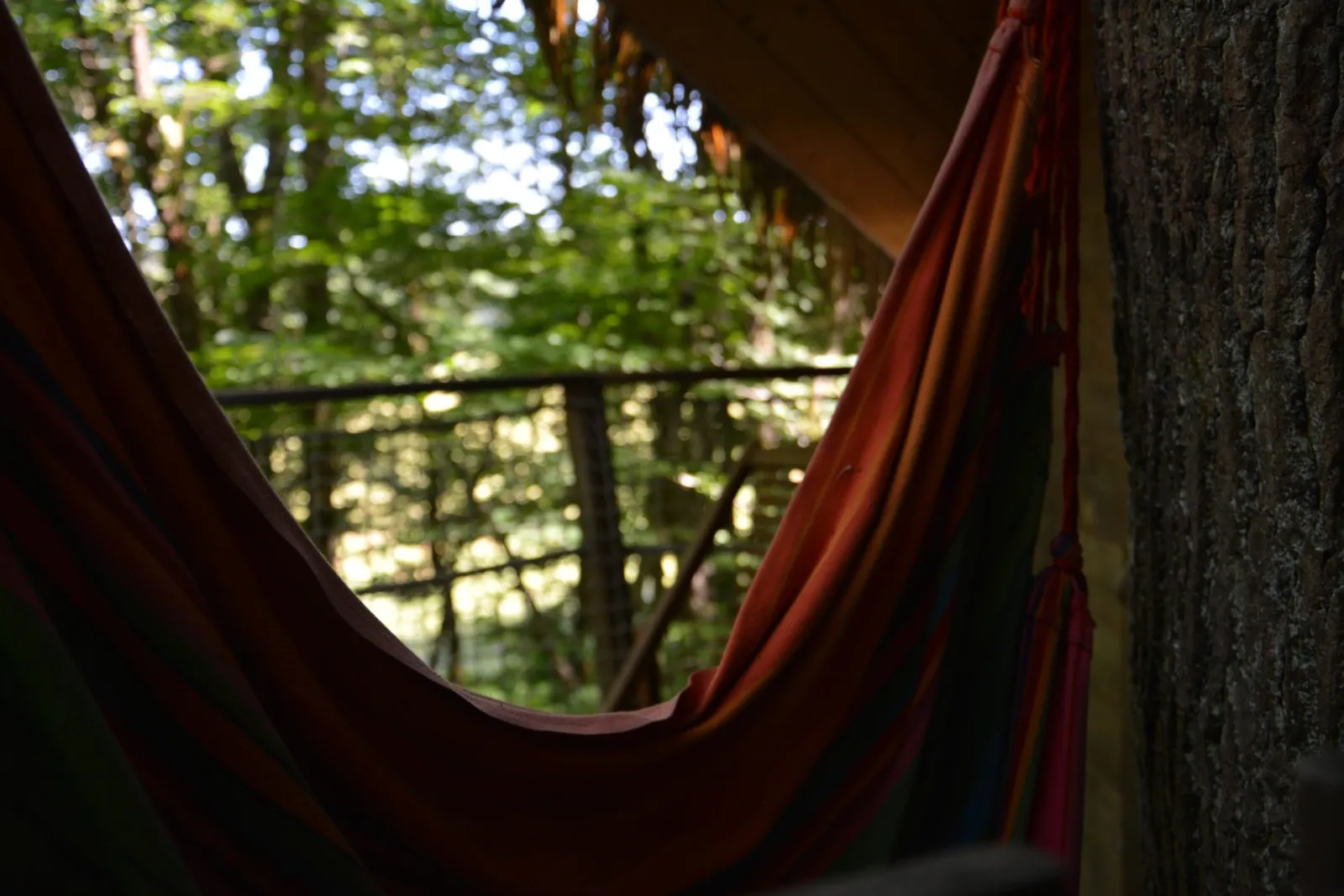 Cabane Margaux à Pompignac, photo 4