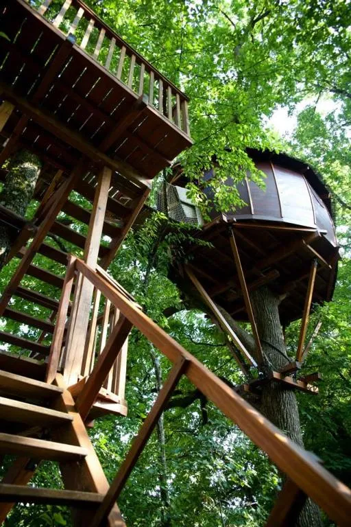 Cabane Maya à Sainte-Colombe, photo 3