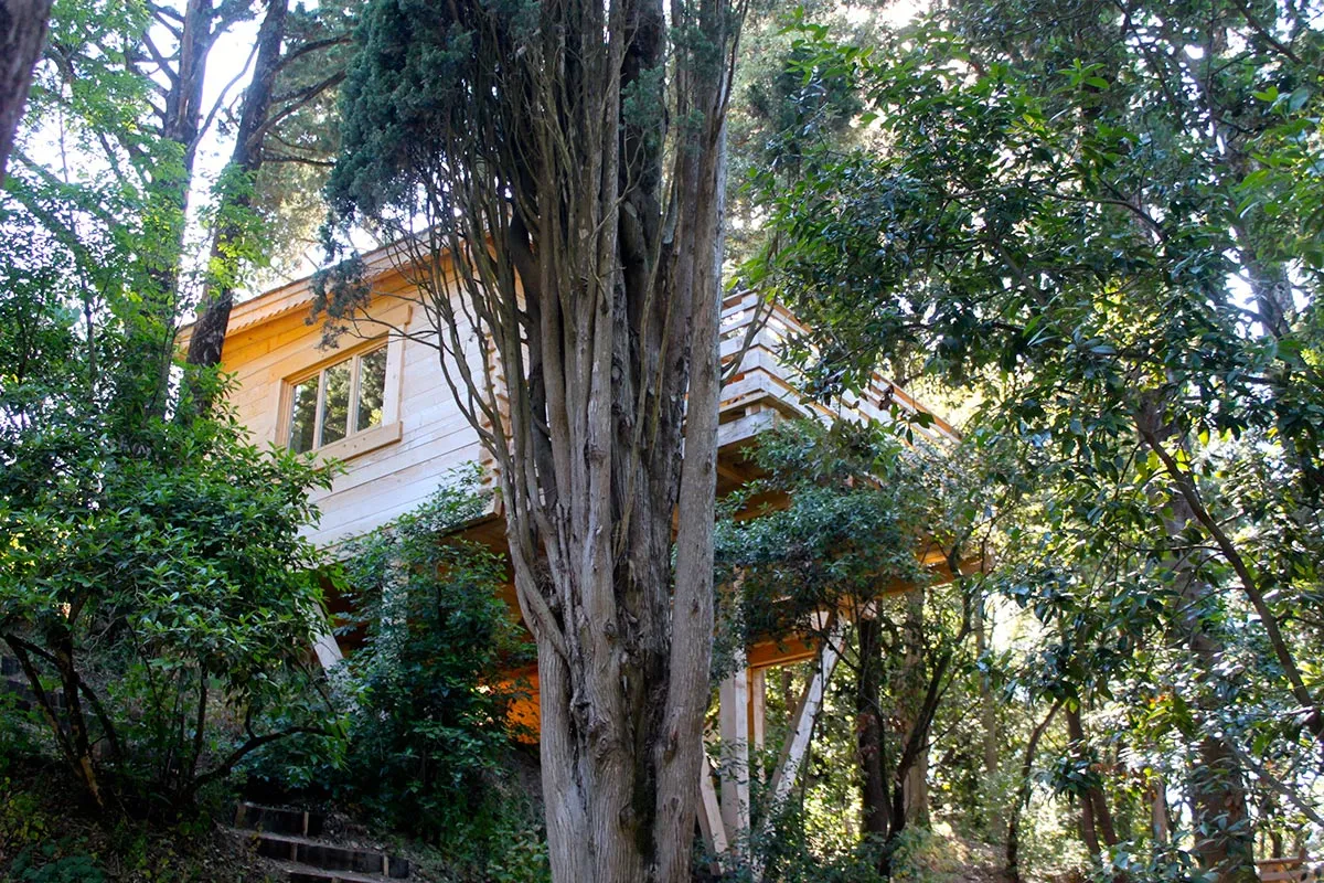 Cabane Mazet, cabane sur pilotis à Villalier