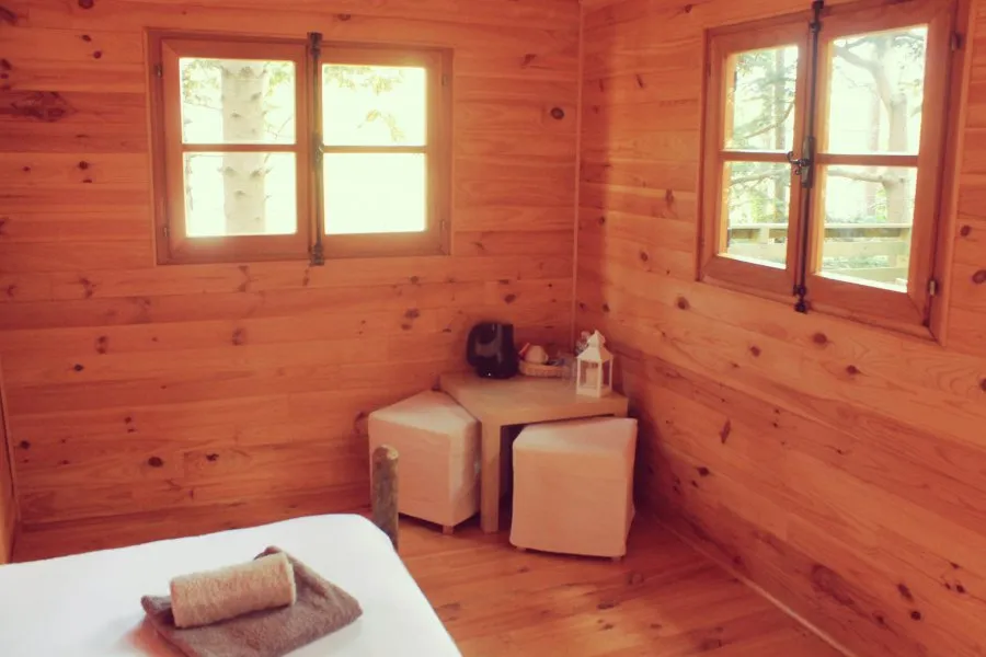 Cabane Mélèze à Prats-de-Mollo-la-Preste, photo 5