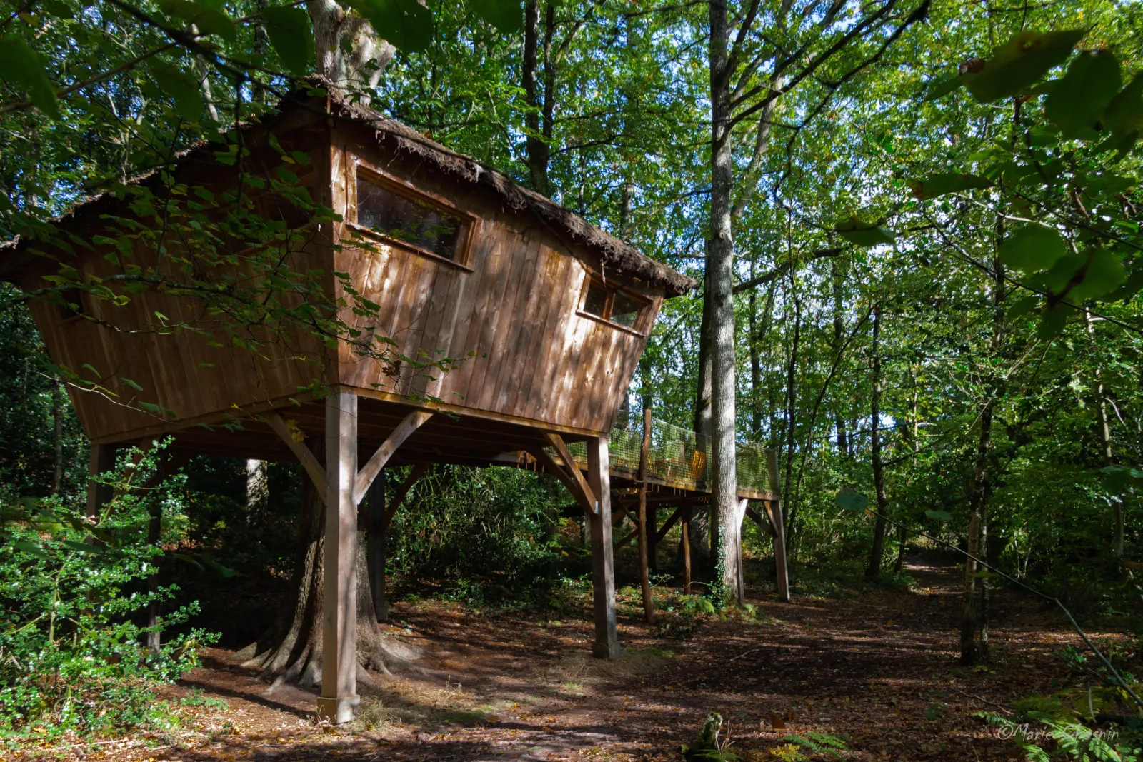 Cabane Mésange, cabane sur pilotis à Forcé