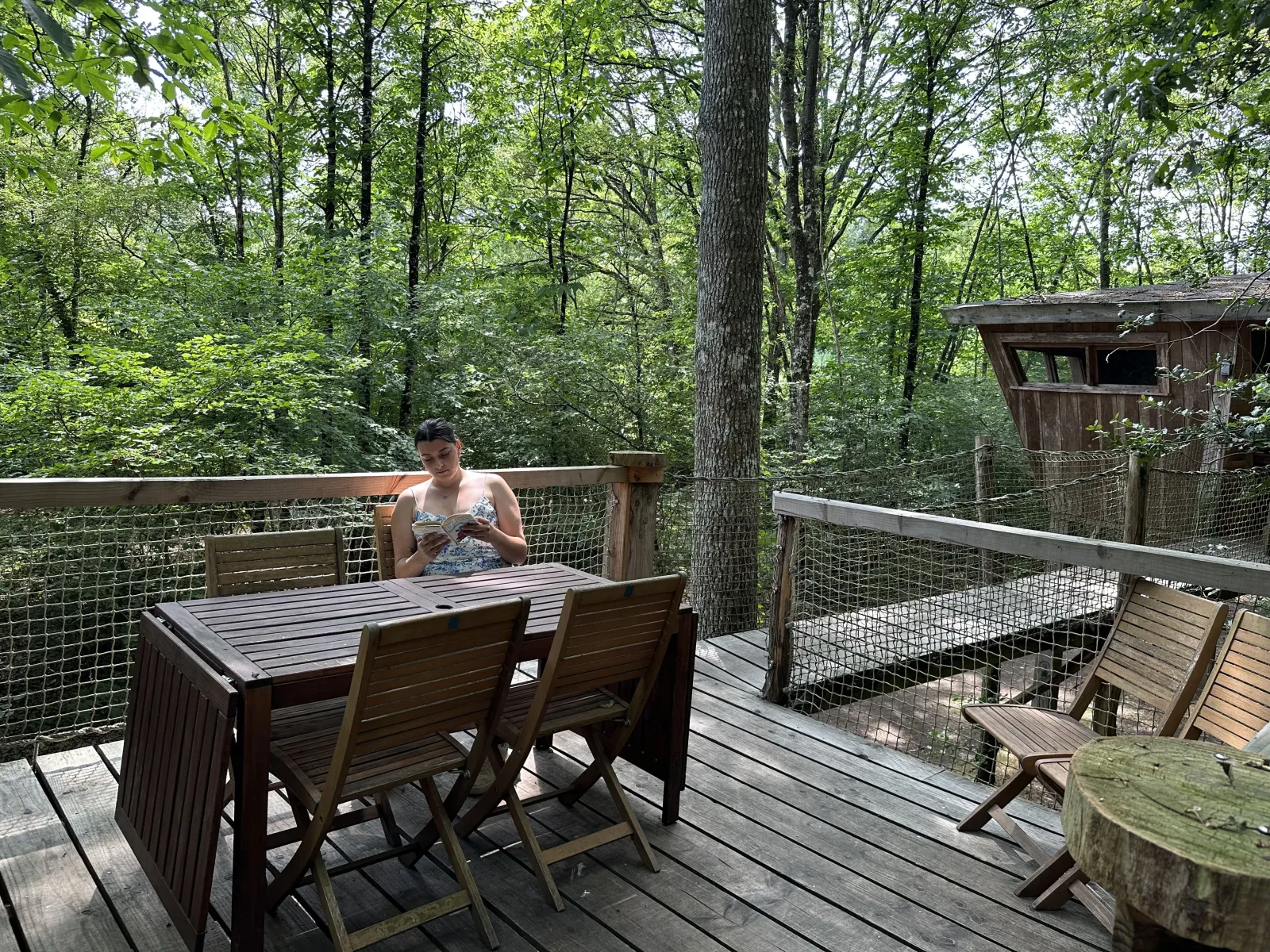 Cabane Mésange à Forcé, photo 4