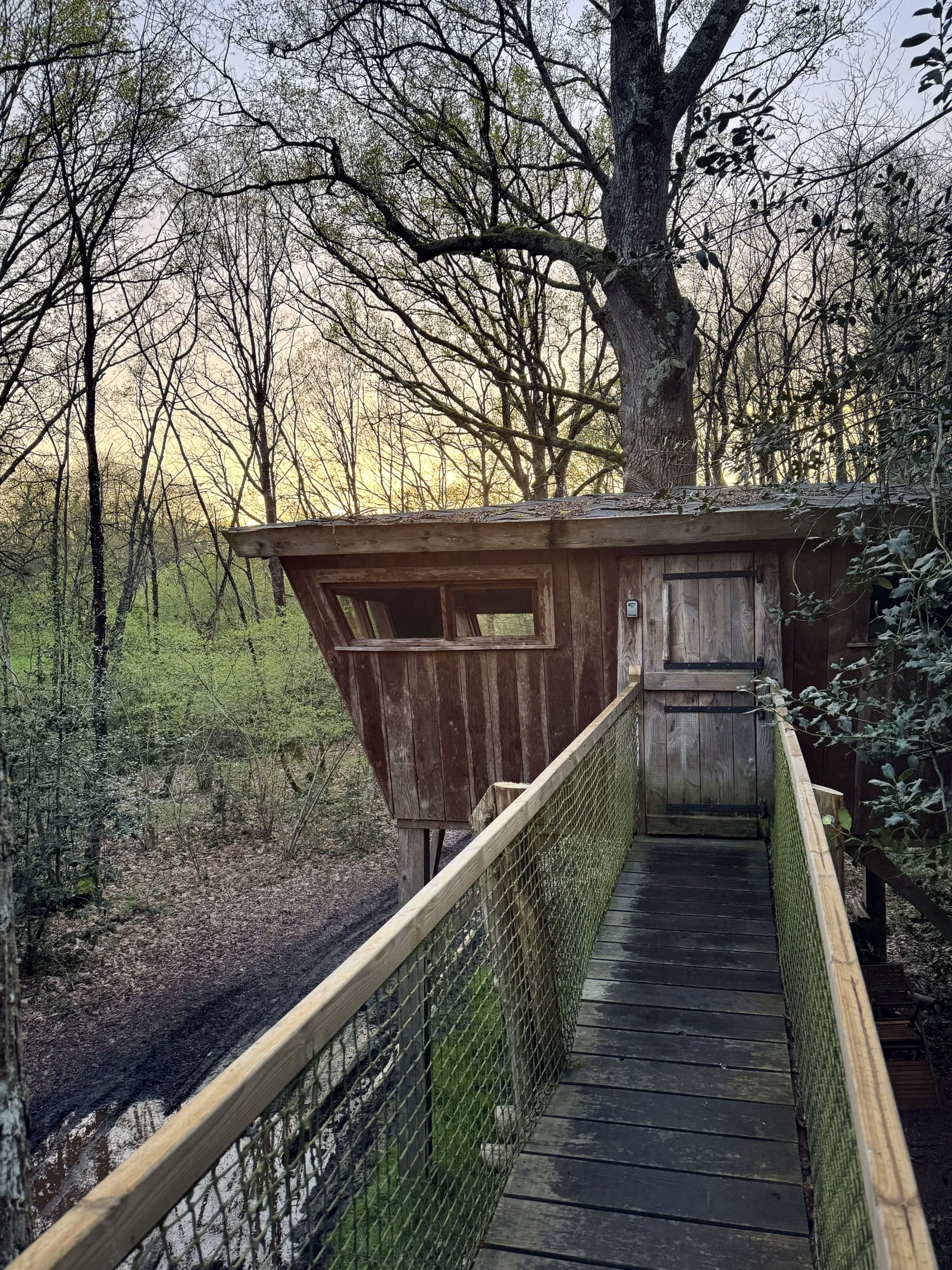 Cabane Mésange à Forcé, photo 5