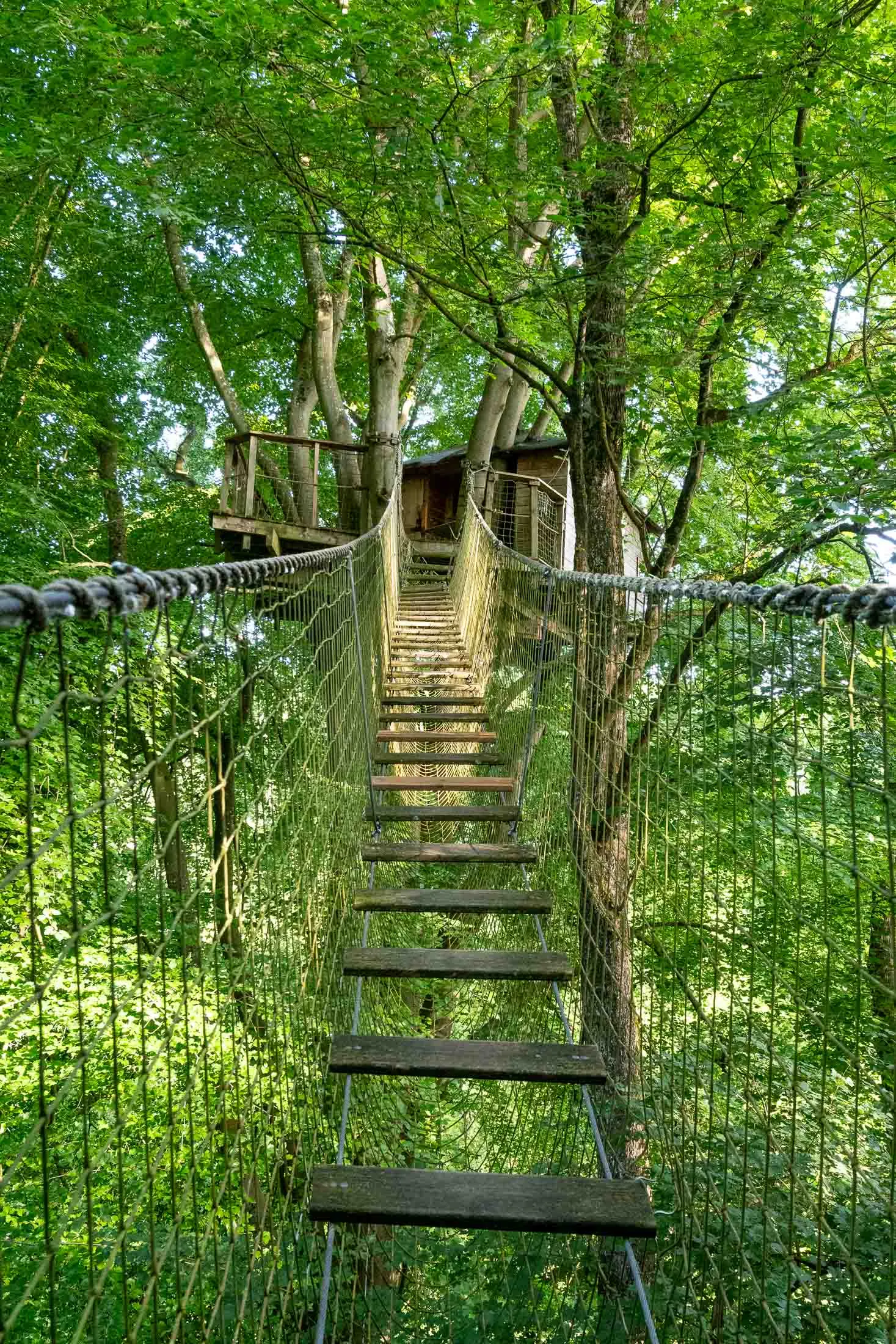 Cabane Mésange, cabane dans les arbres à Saint-Pierre-Azif