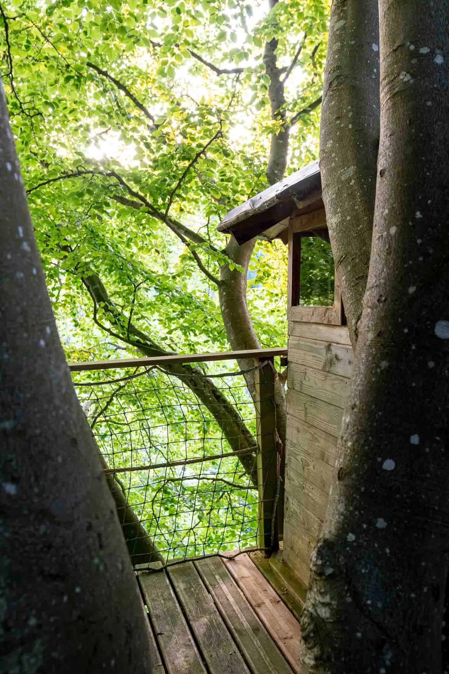 Cabane Mésange à Saint-Pierre-Azif, photo 3