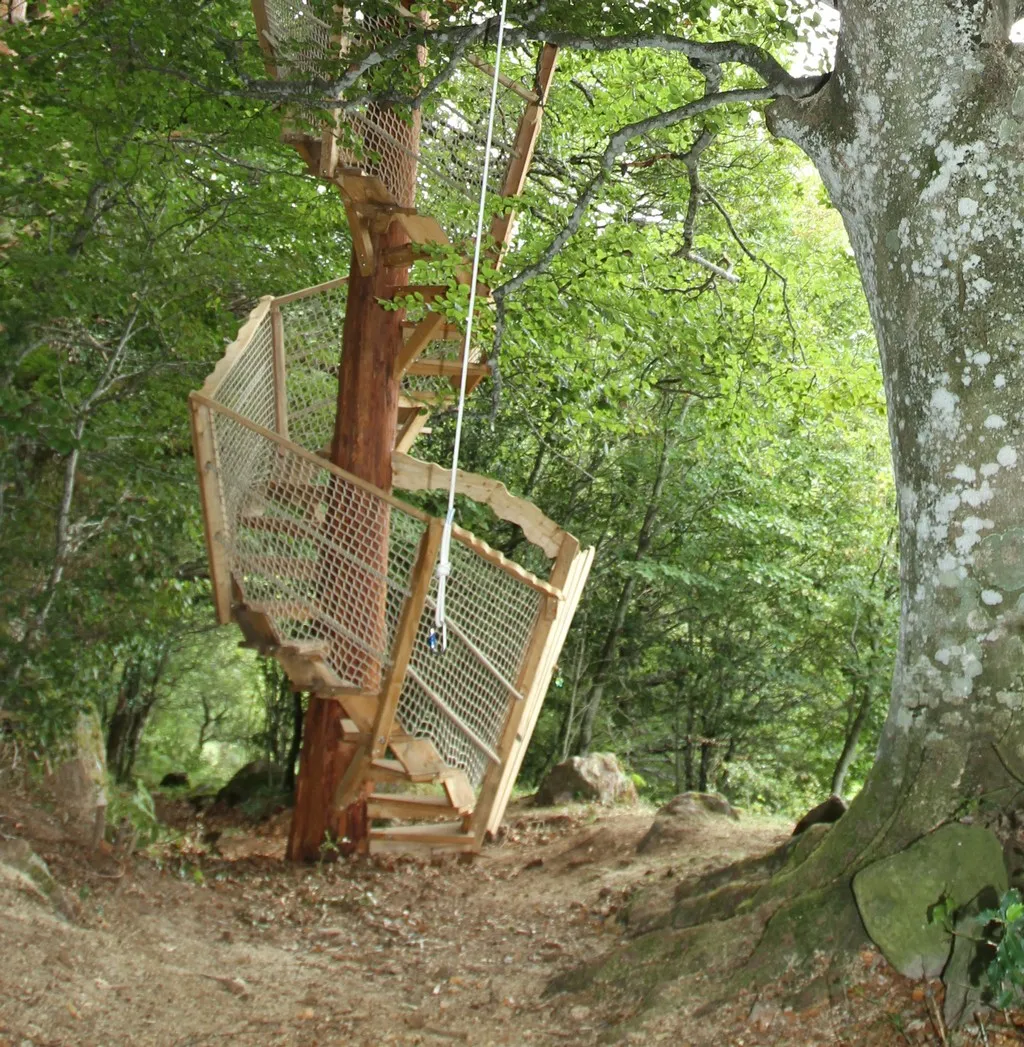 Cabane Migrateur à Saint-Simon, photo 2