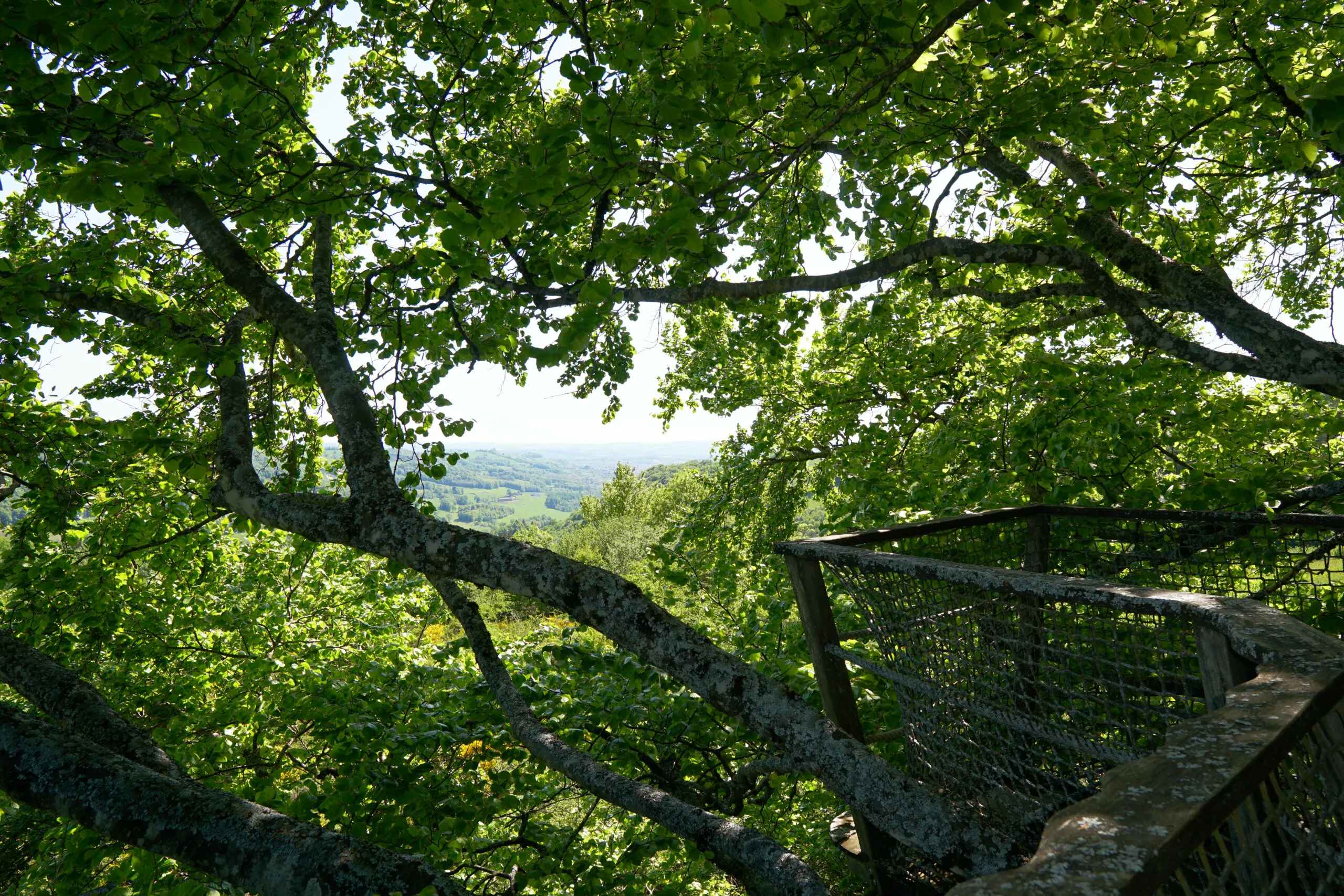 Cabane Migrateur à Saint-Simon, photo 4