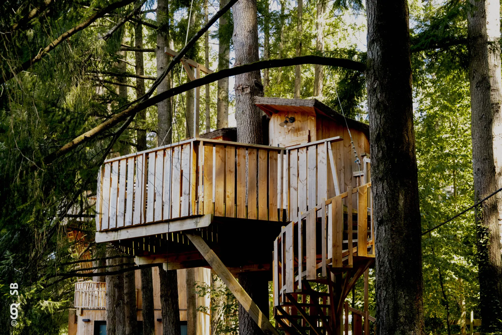 Cabane Moineau, cabane dans les arbres à Cublize