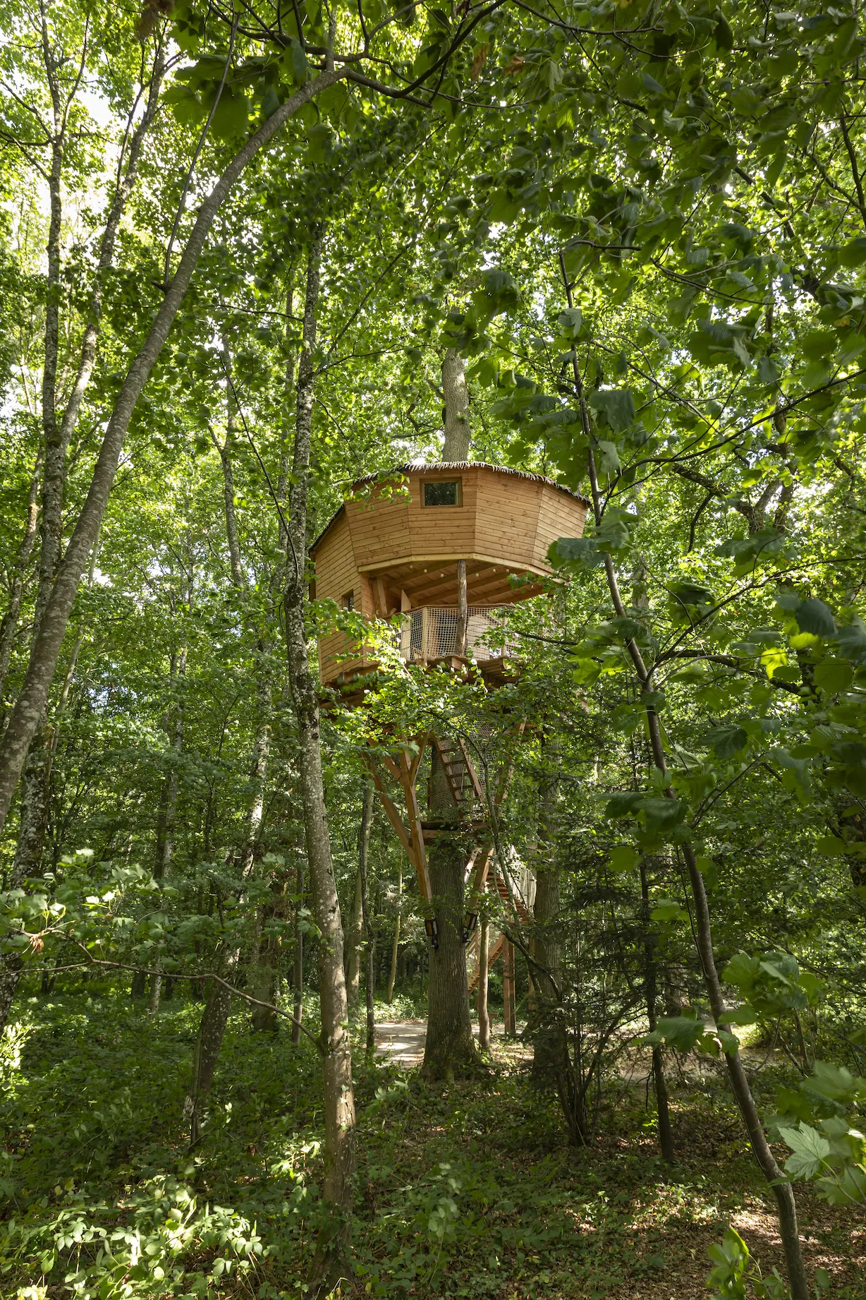 Cabane Monkey Tree, cabane dans les arbres à Longny les Villages
