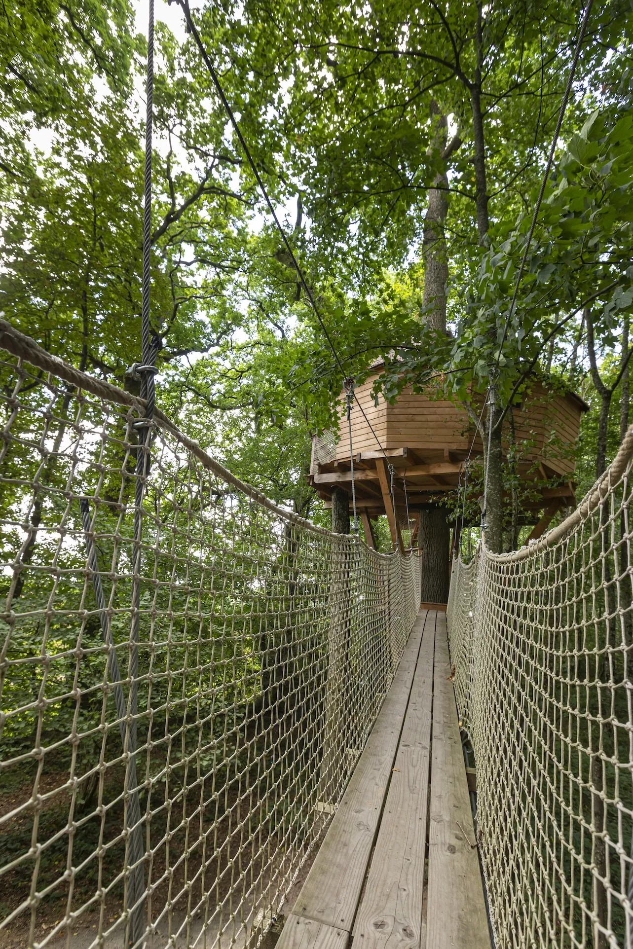 Cabane Monkey Tree à Longny les Villages, photo 2