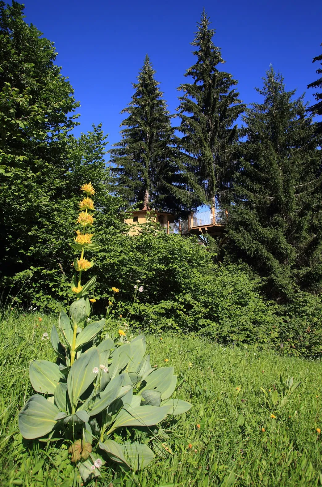 Cabane Mont-Blanc à Passy, photo 4
