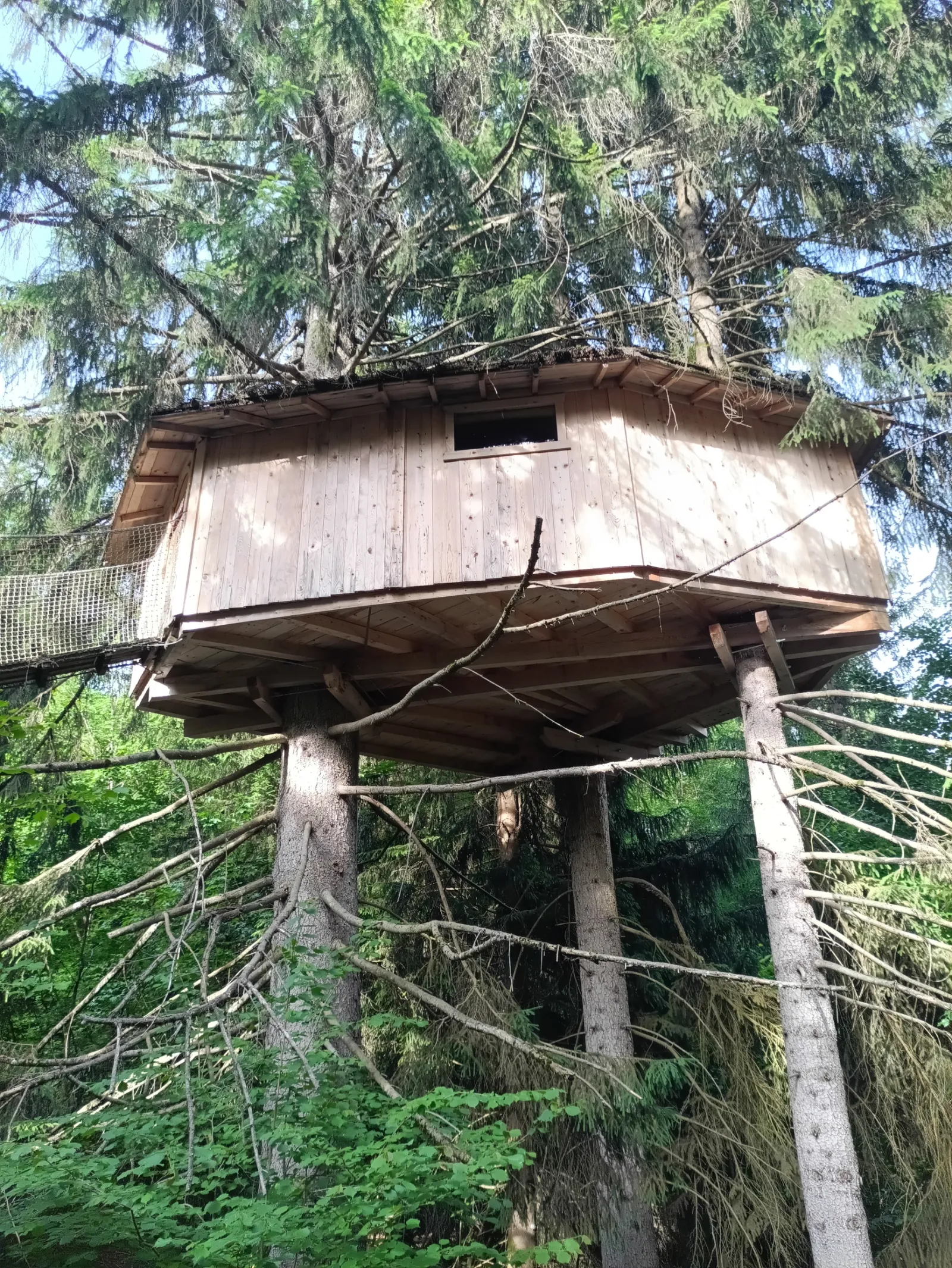 Cabane Mont-Blanc à Passy, photo 5