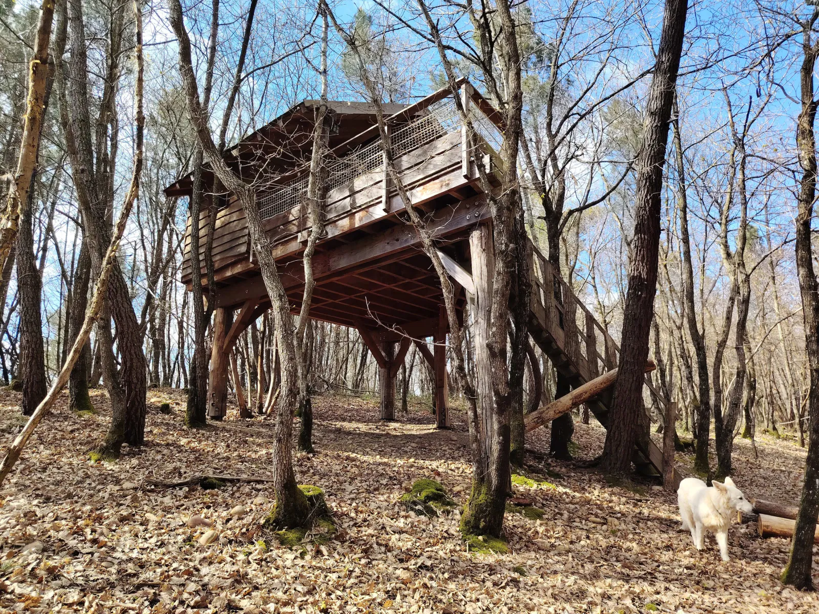 Cabane Murmure de Feuilles, cabane dans les arbres à Saint-Donat-sur-l'Herbasse