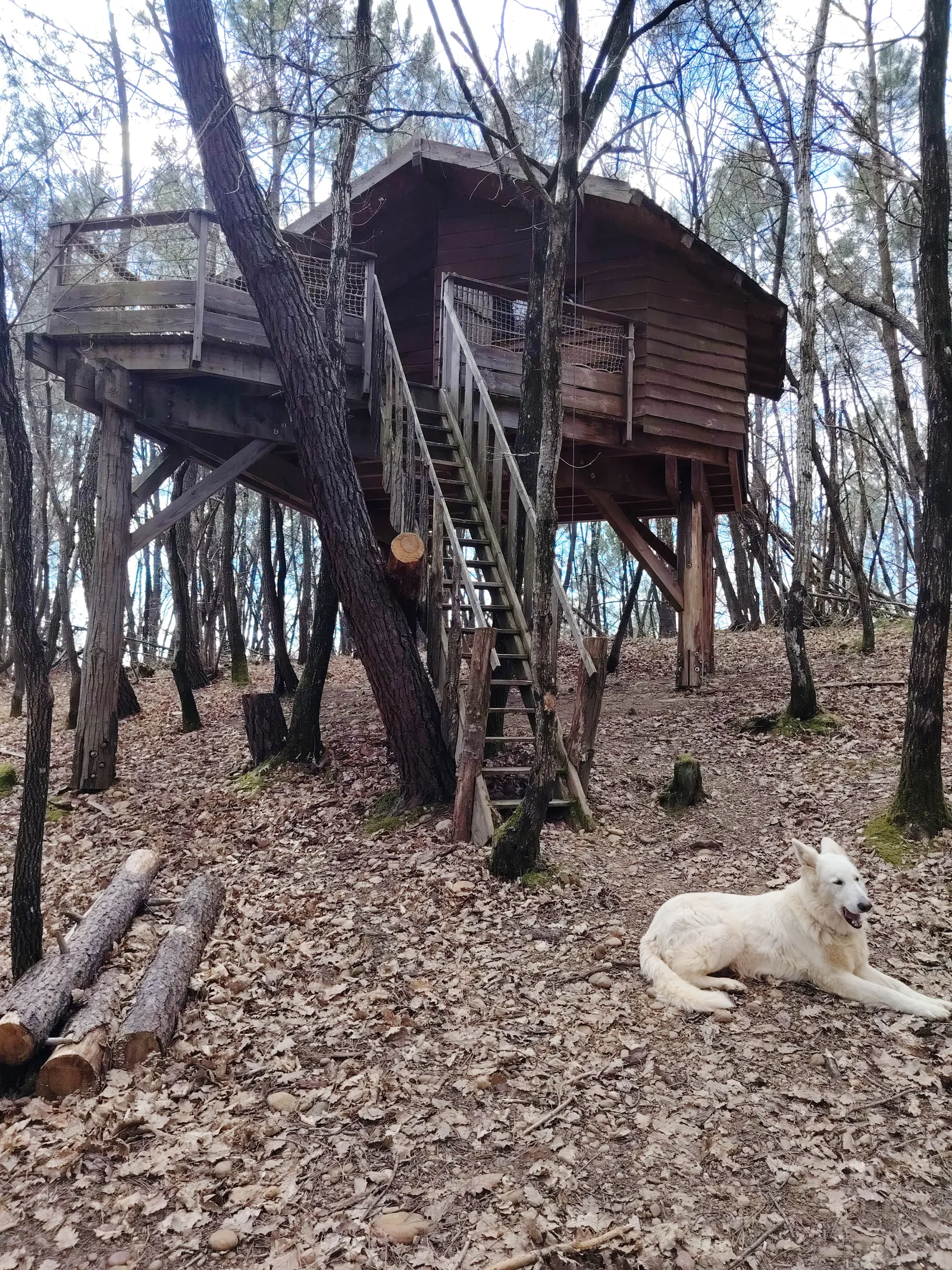 Cabane Murmure de Feuilles à Saint-Donat-sur-l'Herbasse, photo 2