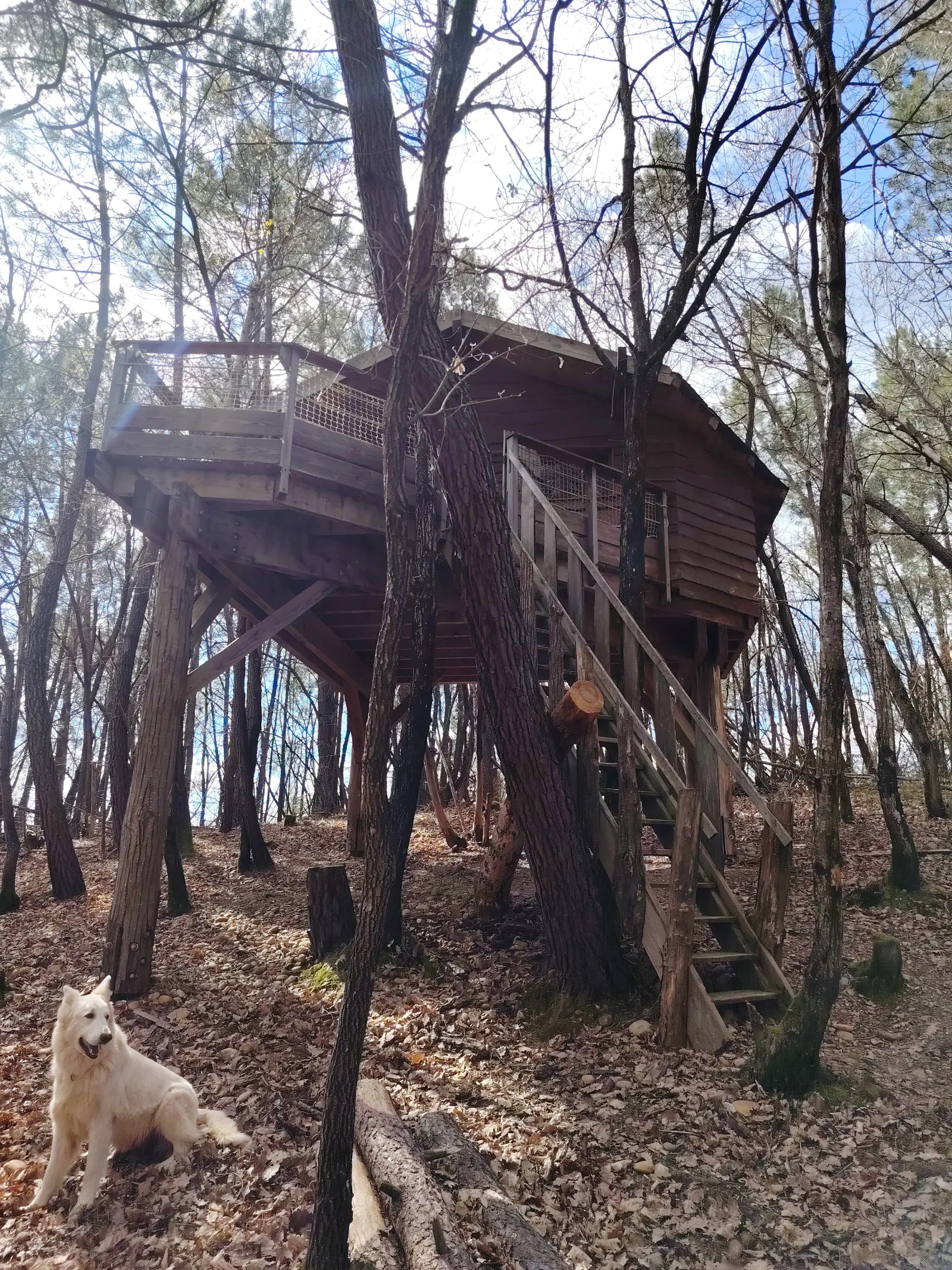 Cabane Murmure de Feuilles à Saint-Donat-sur-l'Herbasse, photo 3