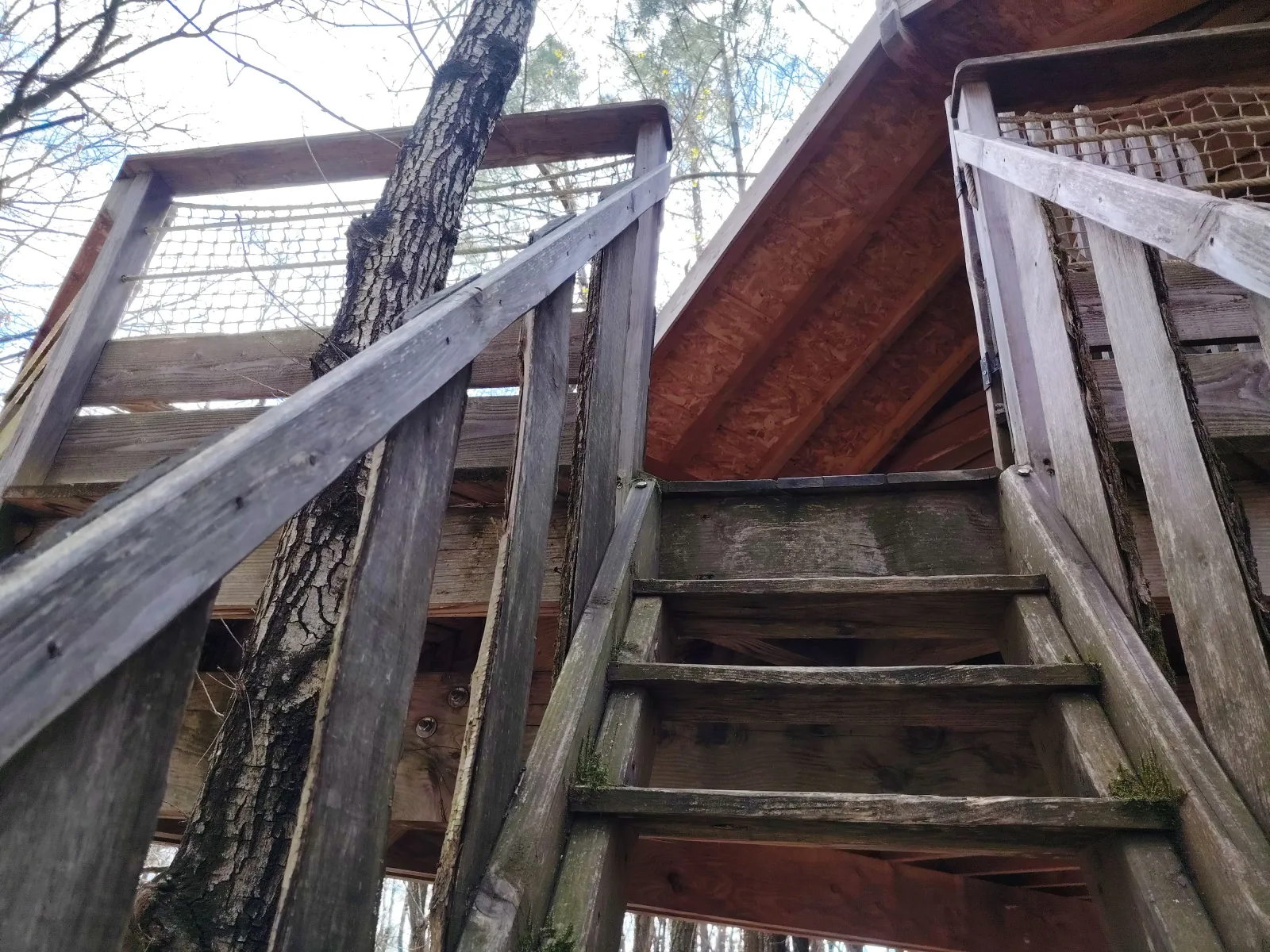 Cabane Murmure de Feuilles à Saint-Donat-sur-l'Herbasse, photo 5