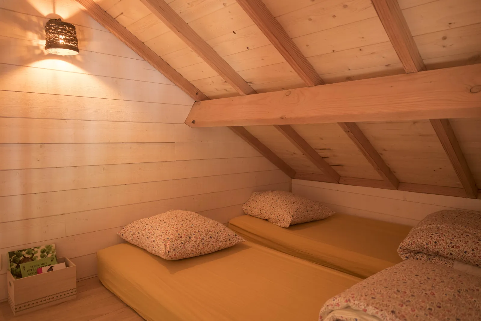 Cabane Neizh à Ploemel, photo 4