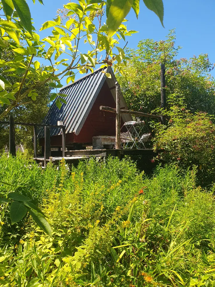 Cabane Nichoir à Saint-Sulpice-la-Forêt, photo 2